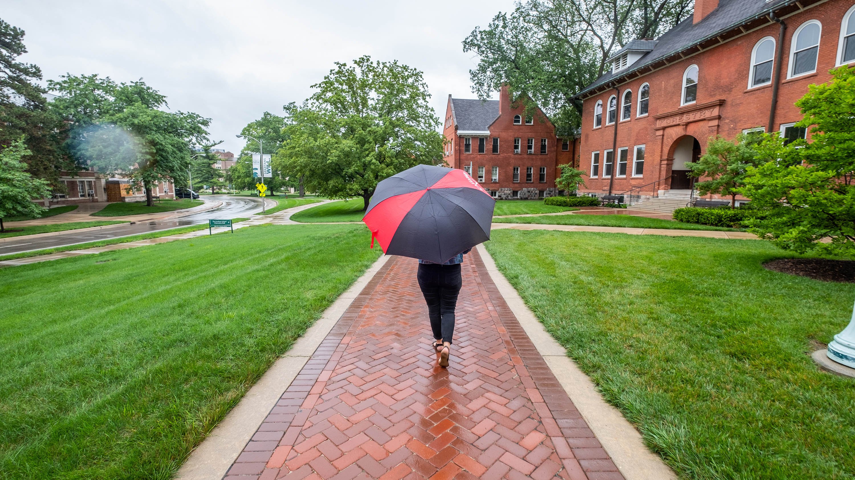Person walking down West Circle Drive with an umbrella