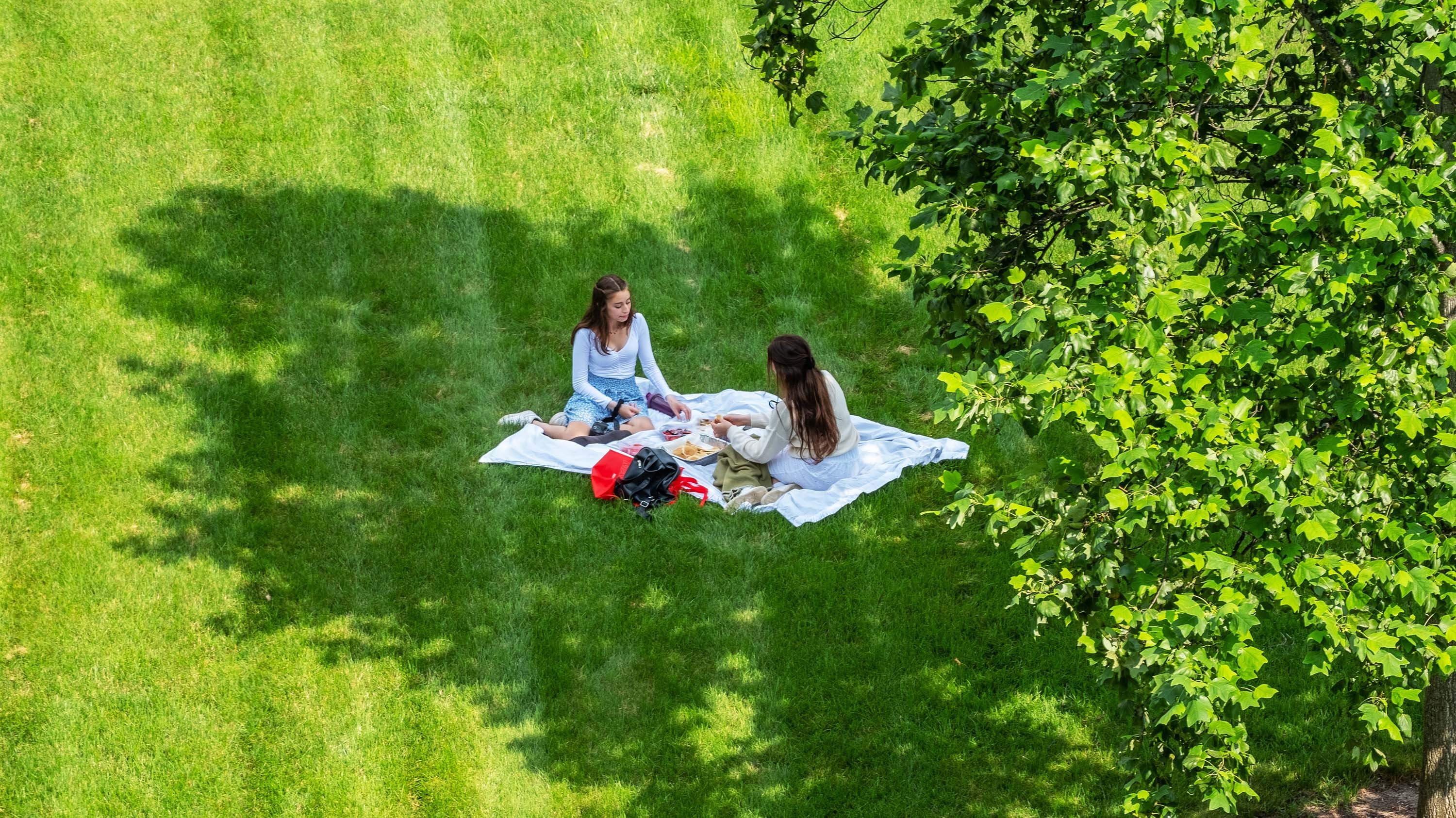 Two women having a picnic in the grass on campus