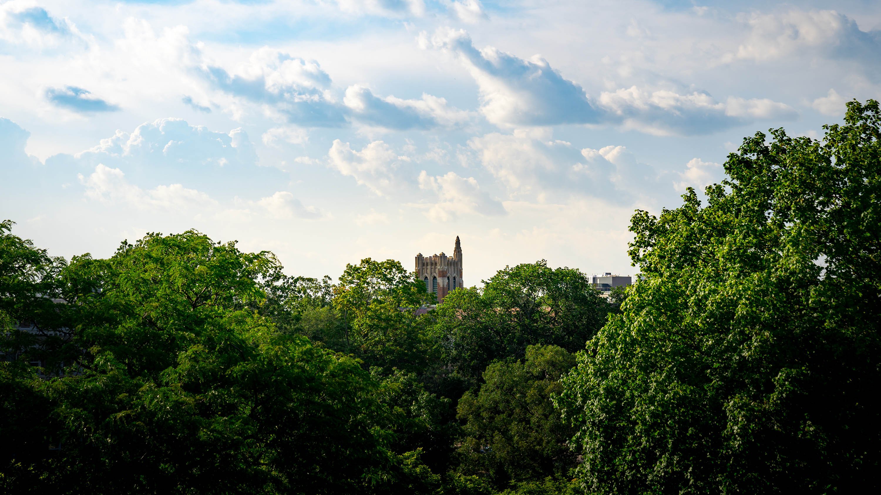 Beaumont Tower, partially obscured by trees