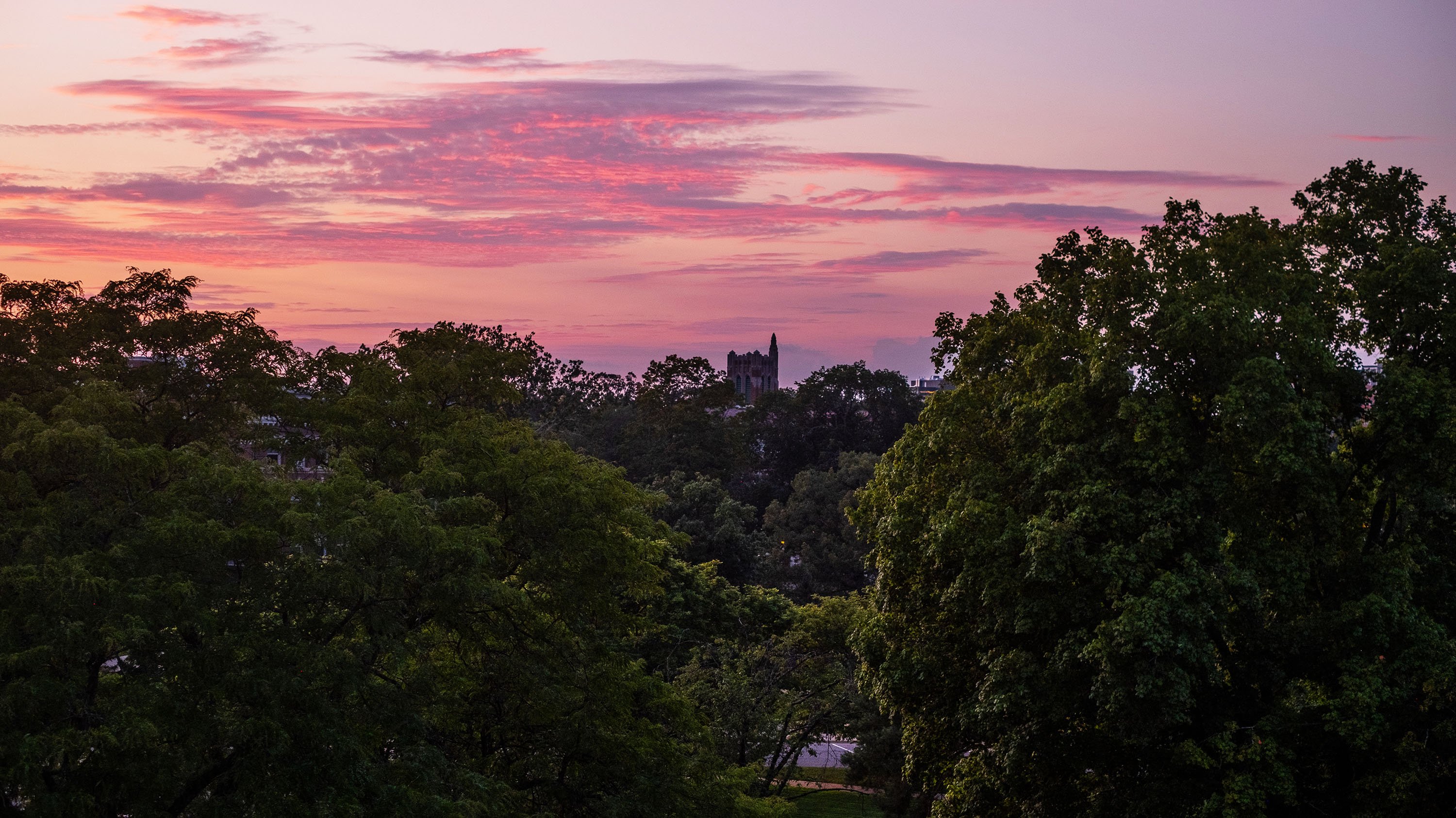 Campus treeline at sunset, with Beaumont Tower in the distance