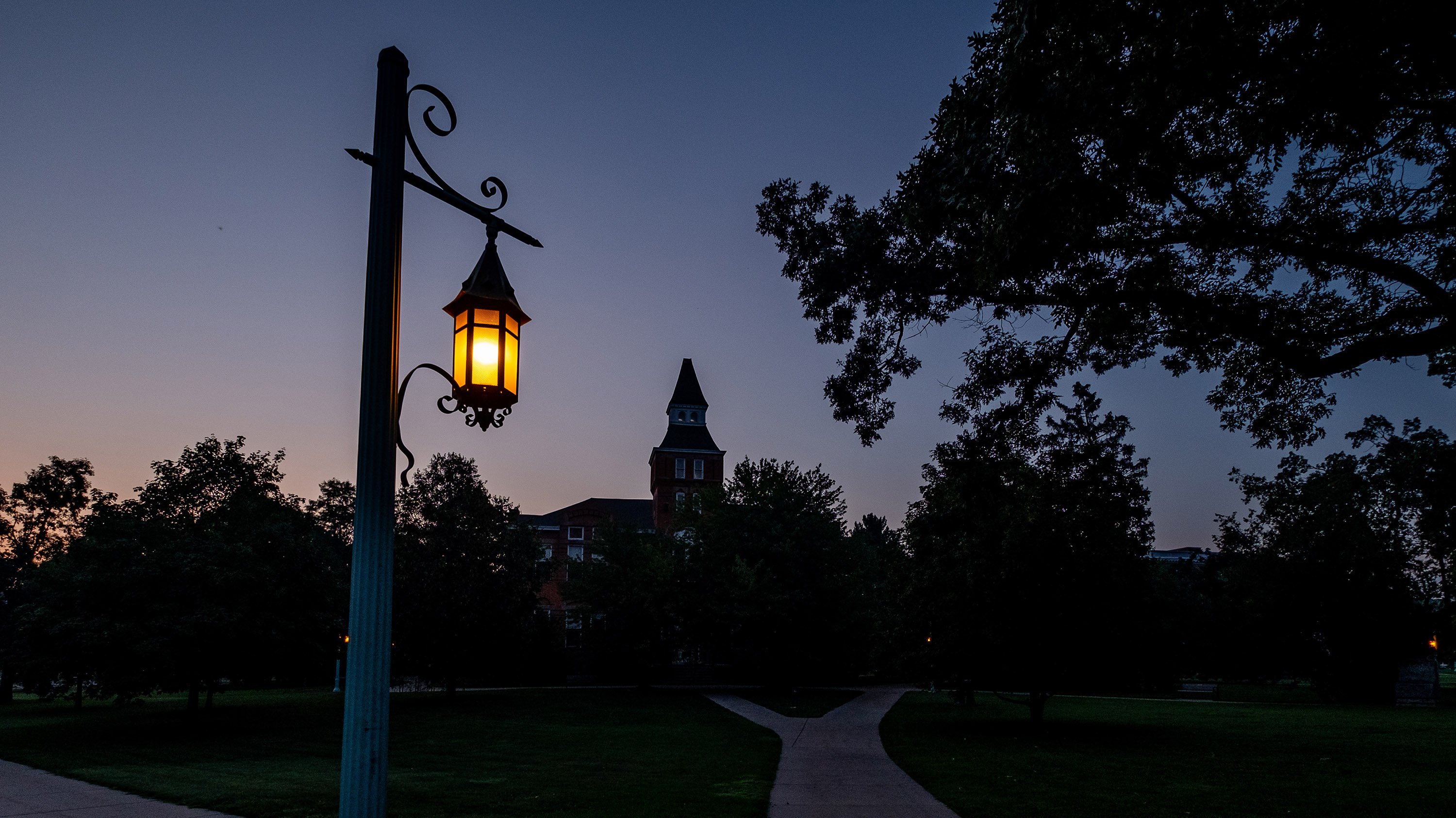 An MSU lantern at night
