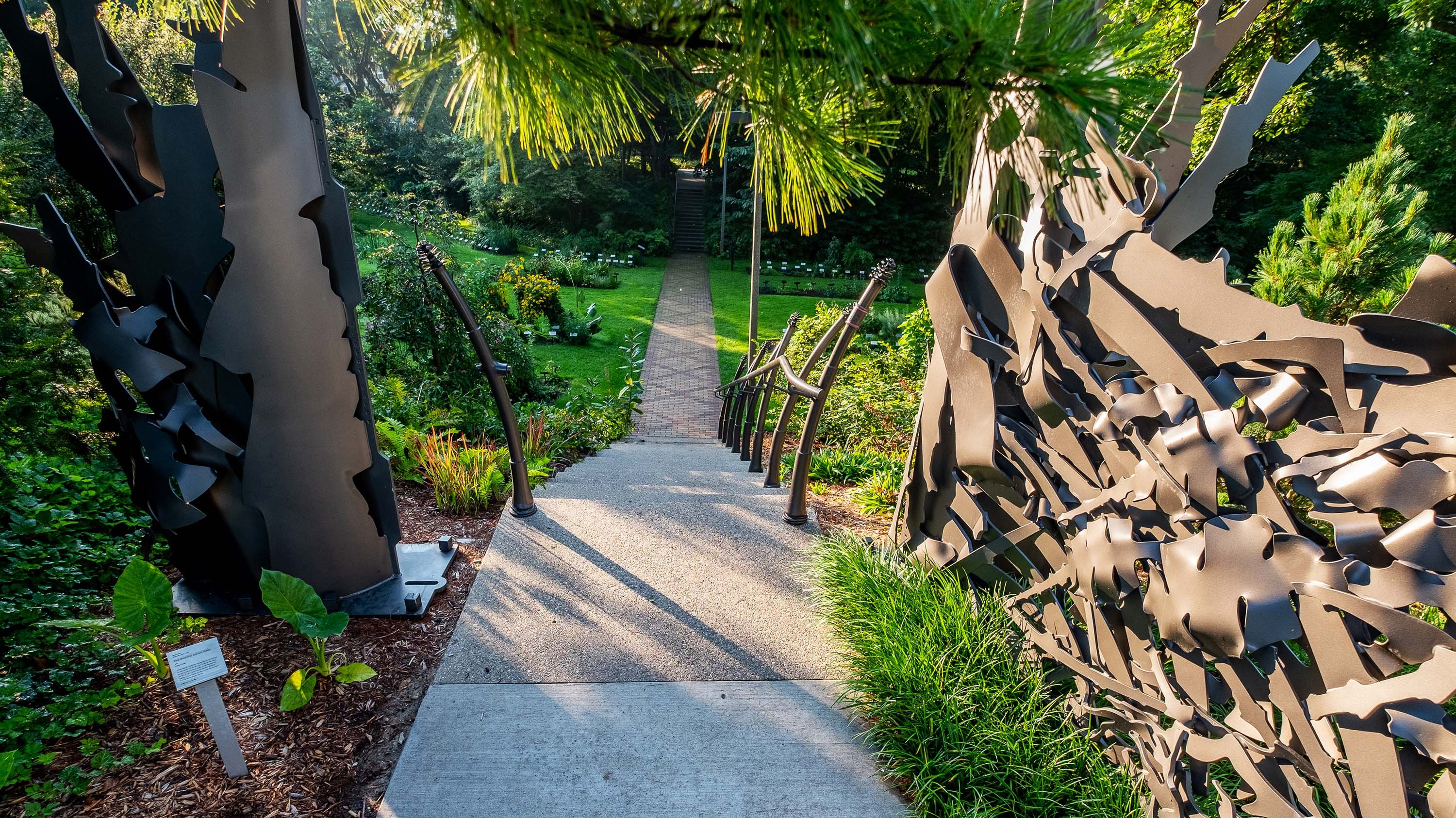 Steps to Beal Botanical garden