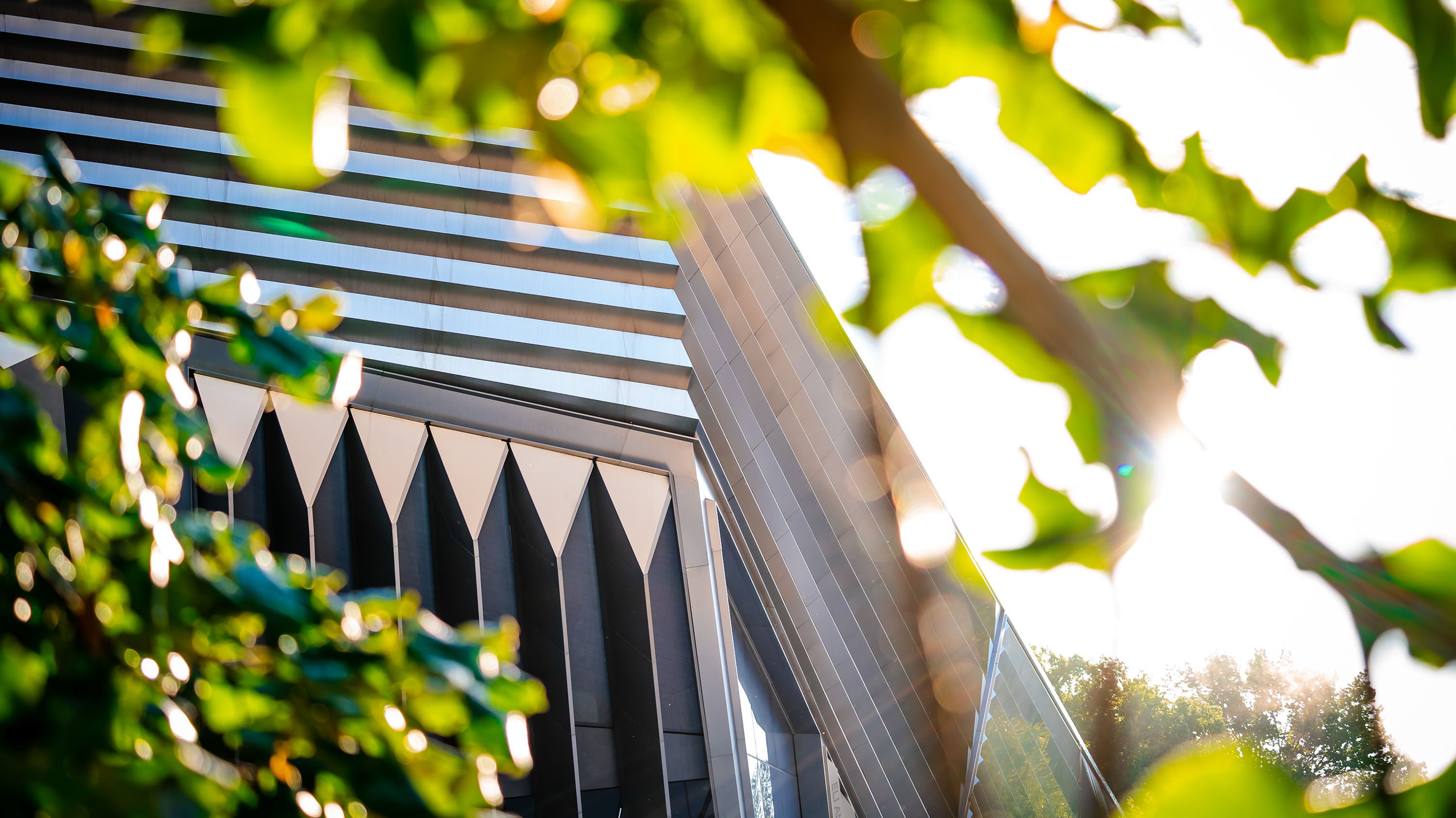 MSU Broad museum seen through the leaves of a tree