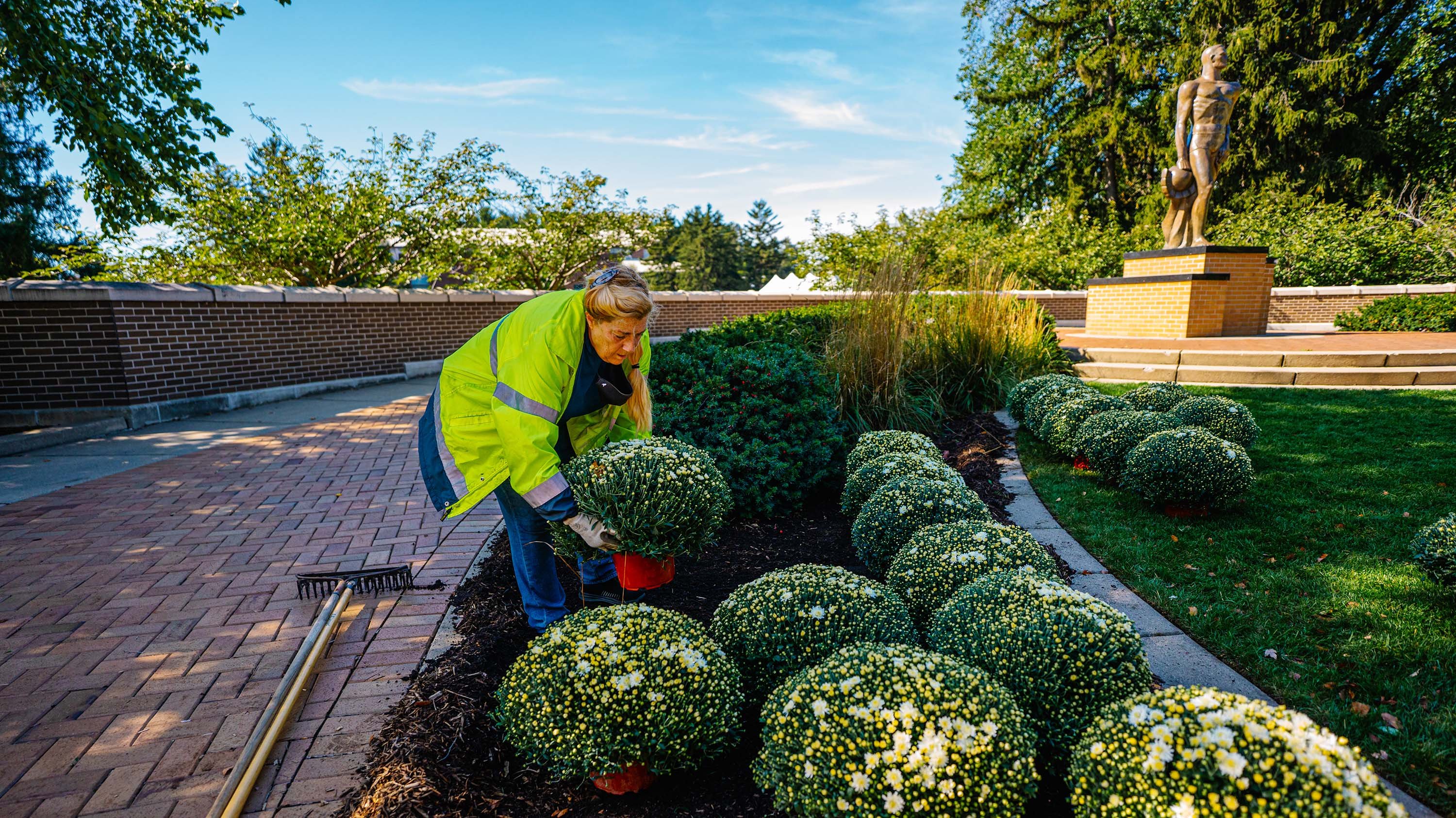 An IPF gardener plants mums near the Spartan Statue