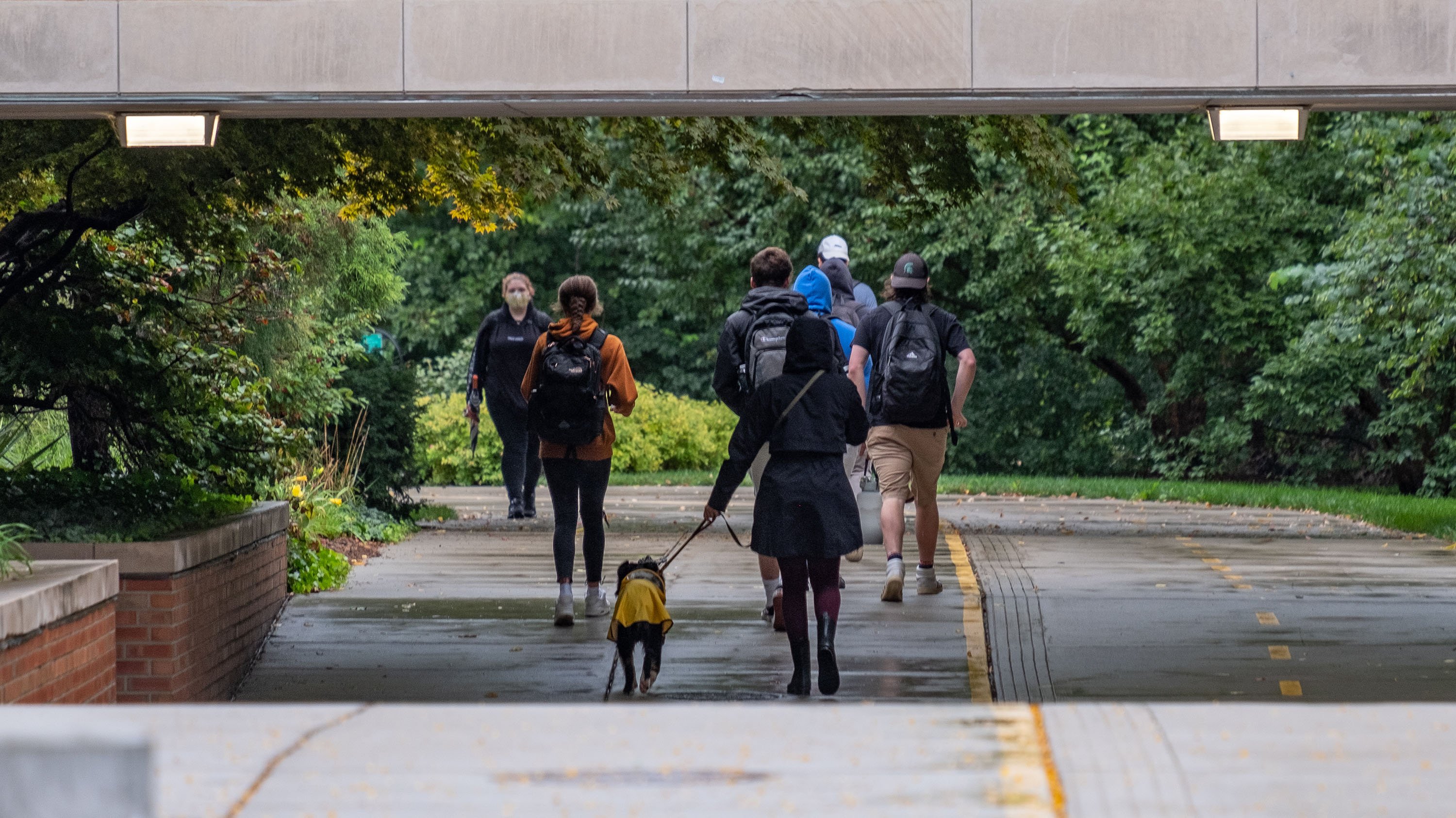 People and a dog walking near Kellogg Center on a rainy day
