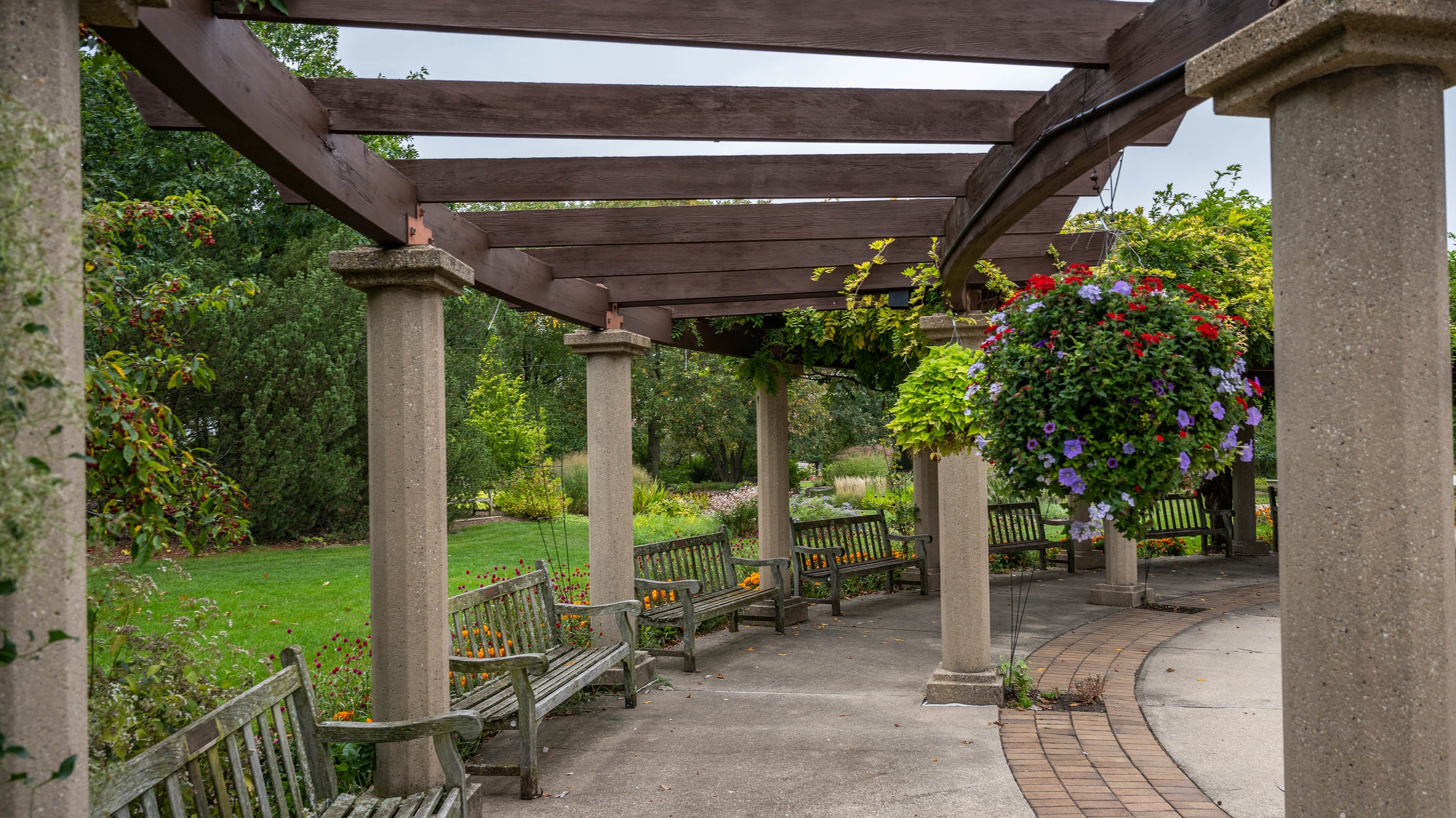 Pergola in MSU Horticulture Gardens