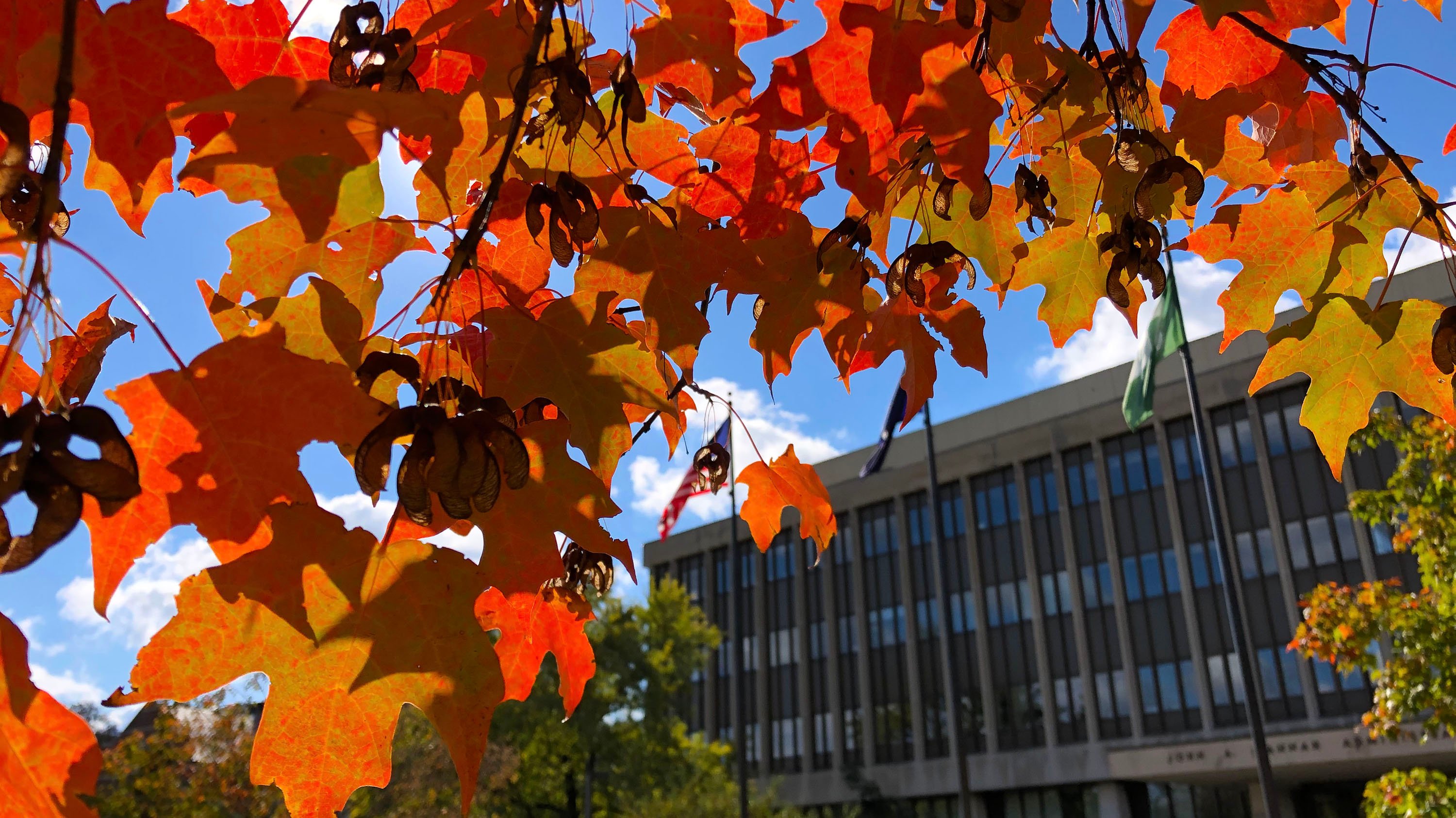 Red maple leaves framing Hannah Administration building