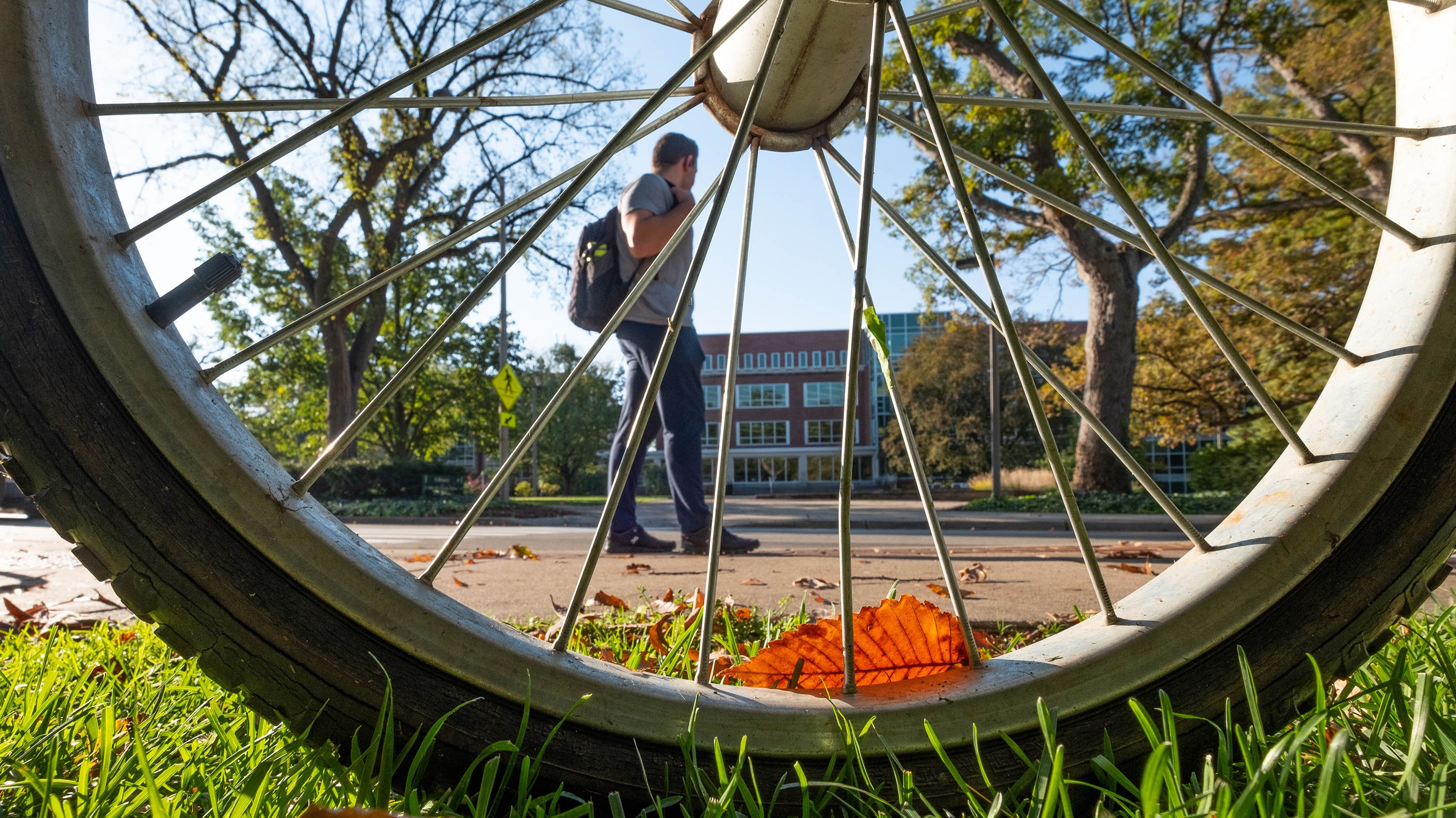 Campus seen through the spoke of a bicycle wheel