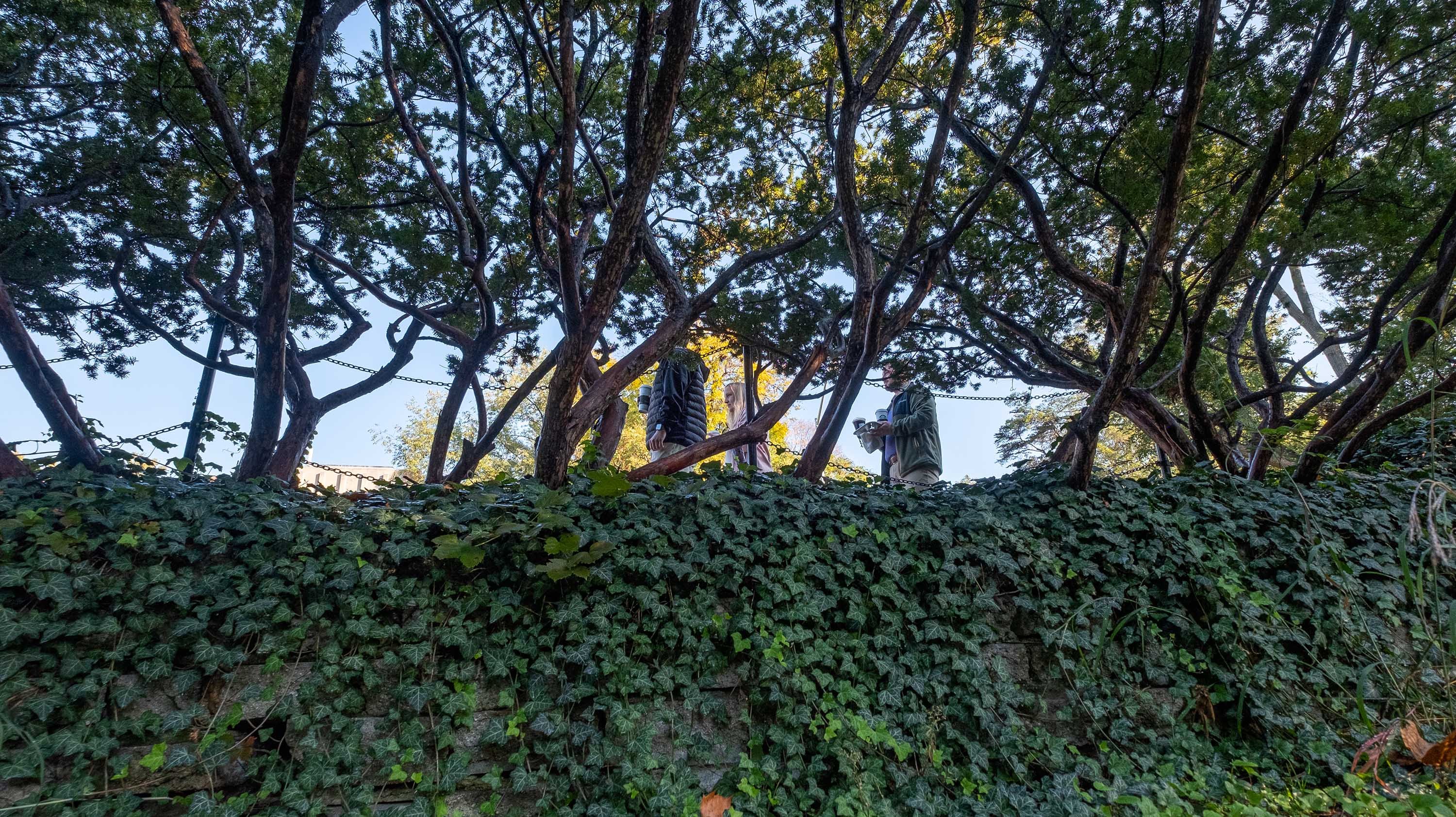 View from Beal Botanical Garden