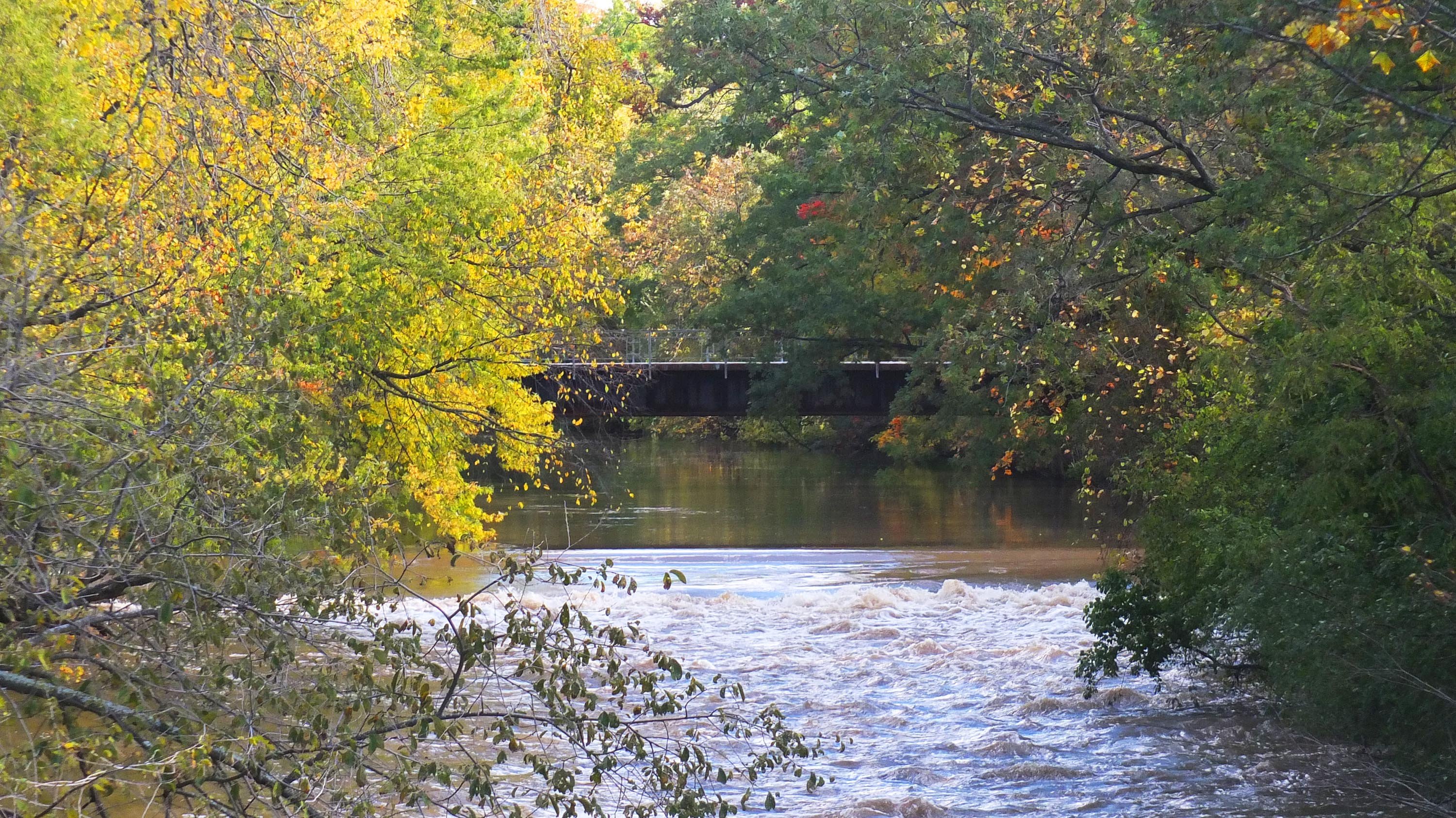 Red Cedar river