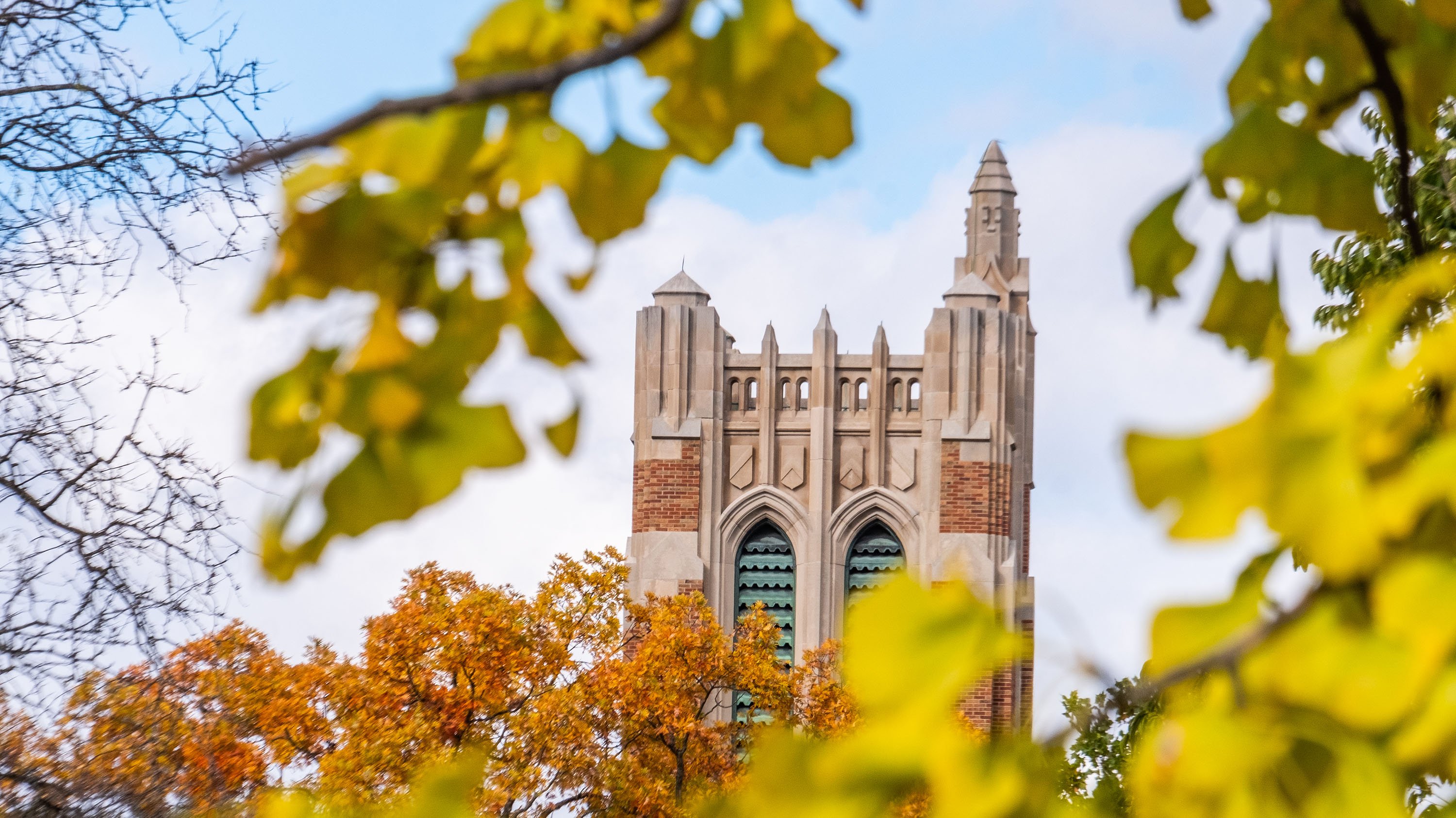 Beaumont tower, framed by the branches of a gingko tree