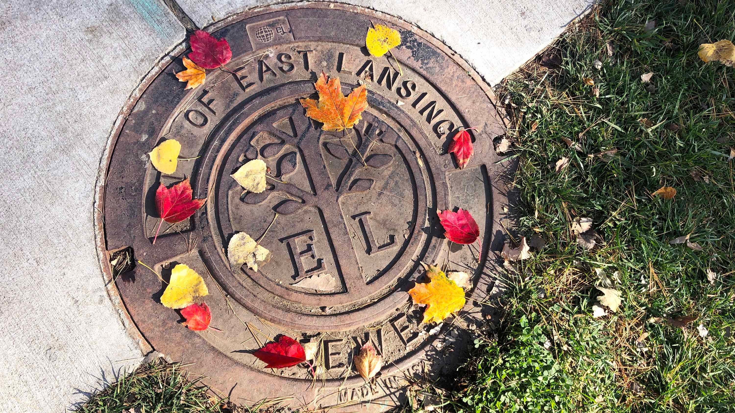 Autumn leaves resting atop a City of East Lansing manhole cover