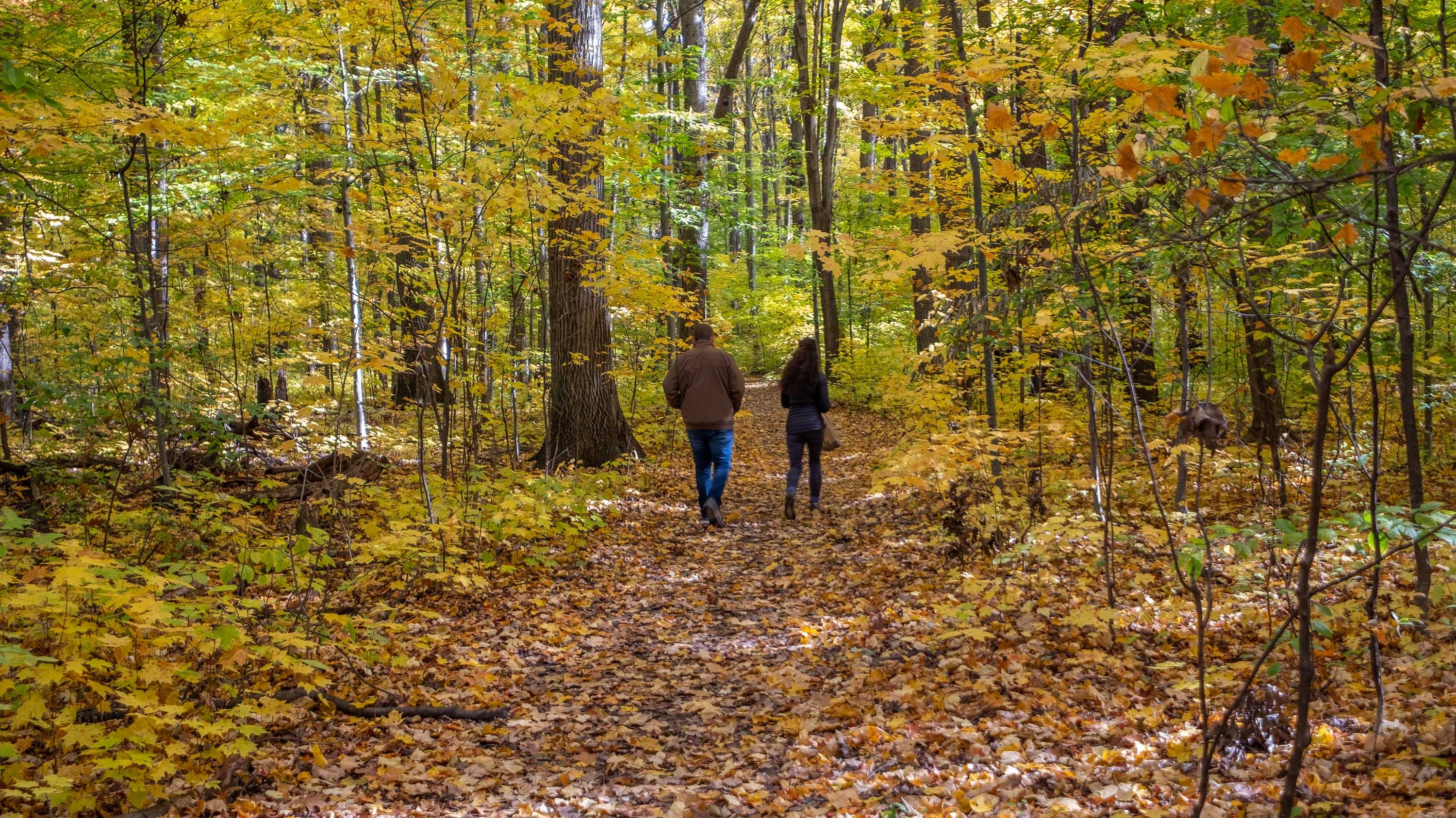 Two people walking through Baker Woodlot