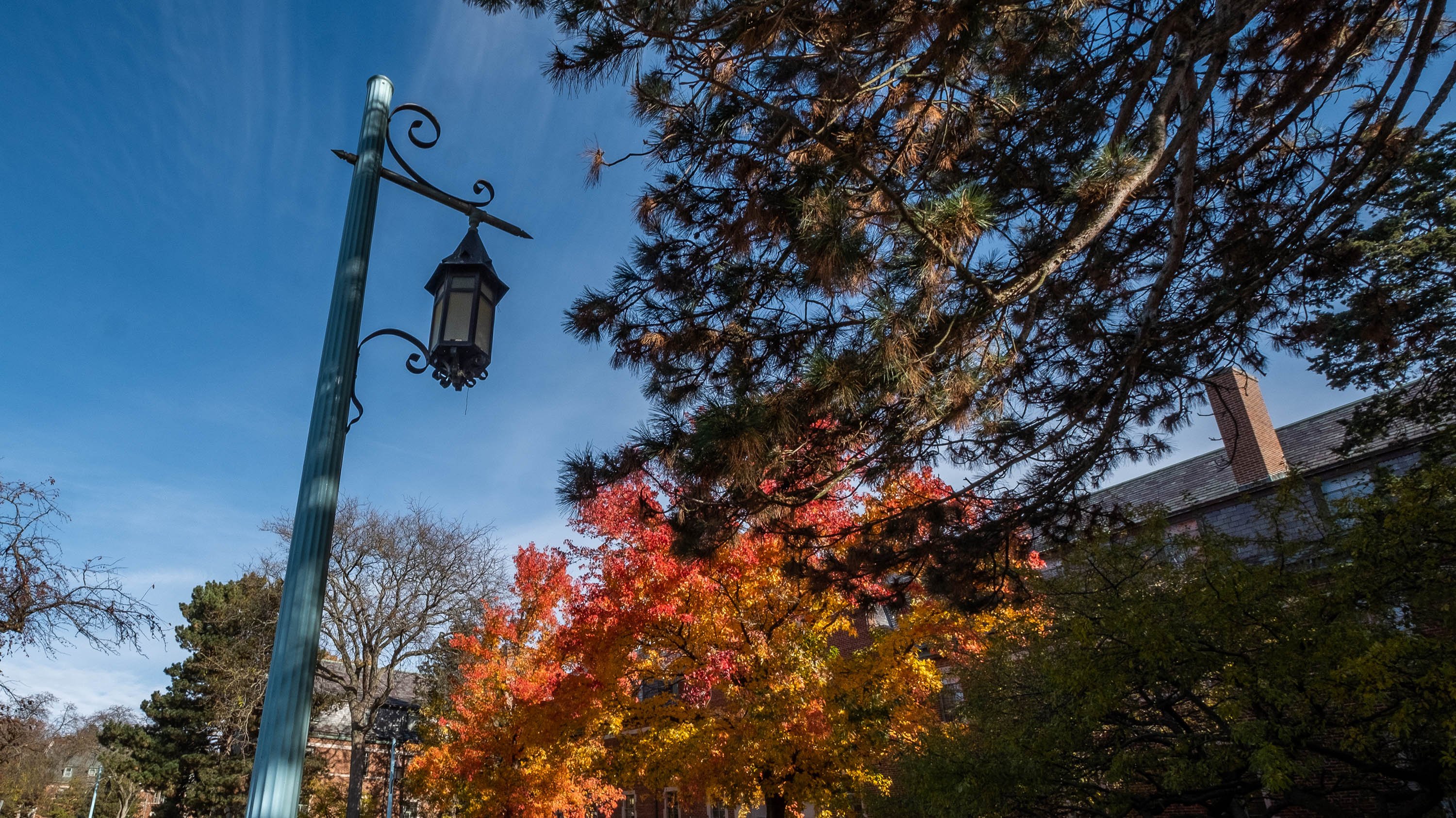 MSU Lantern in front of Snyder Phillips Hall