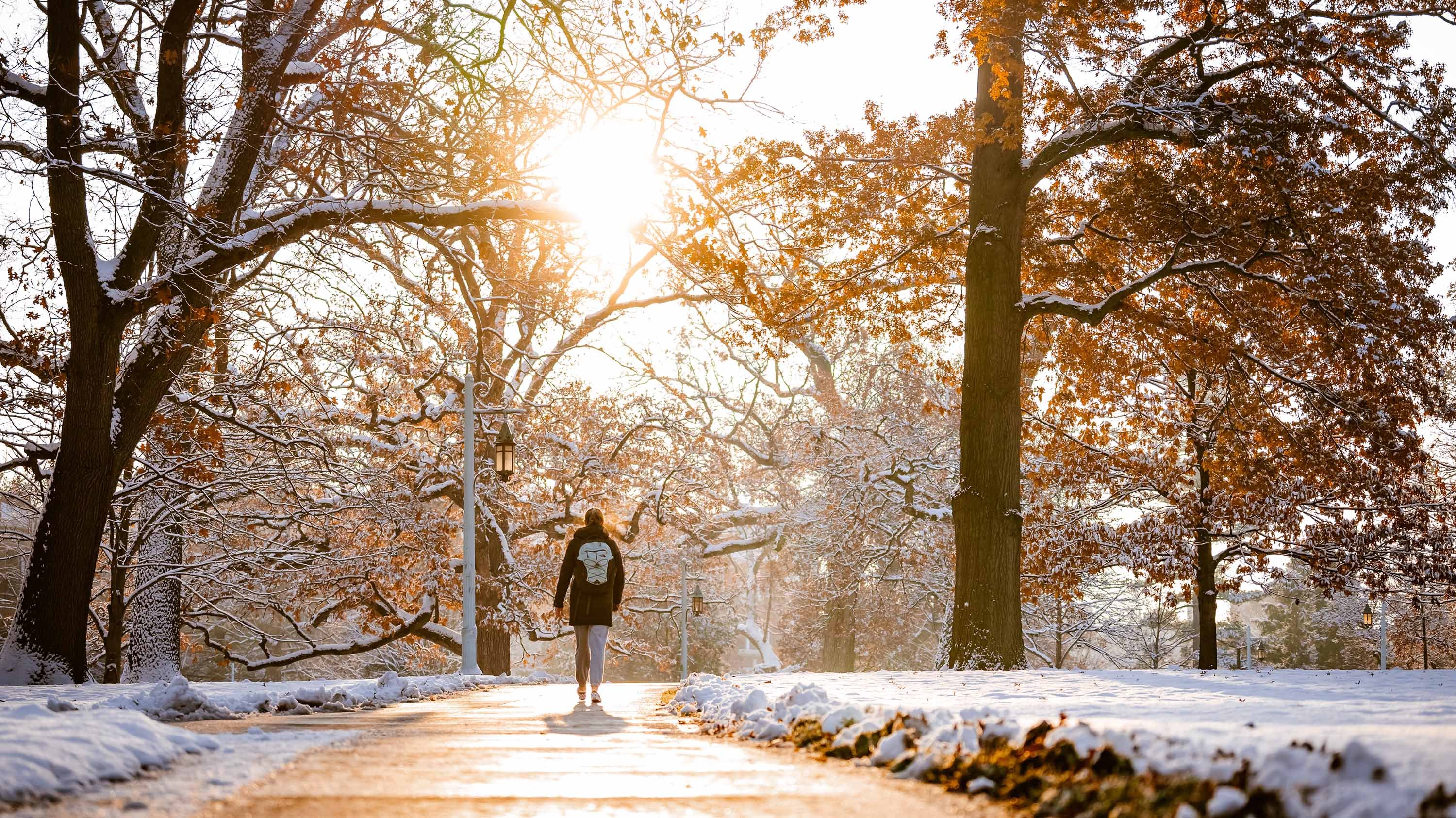 Person walking on the Red Cedar trail on a snowy day