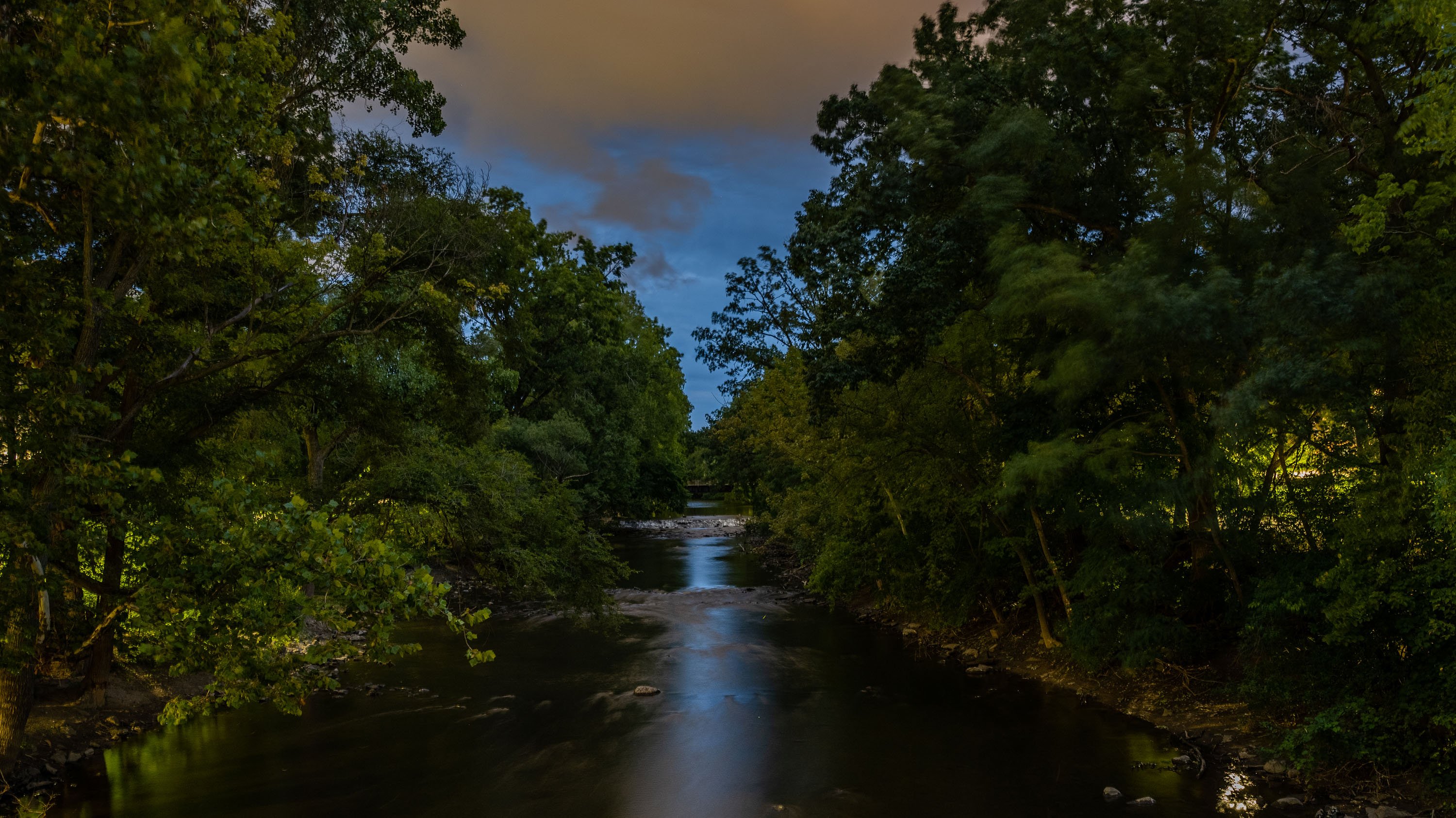 Red Cedar River