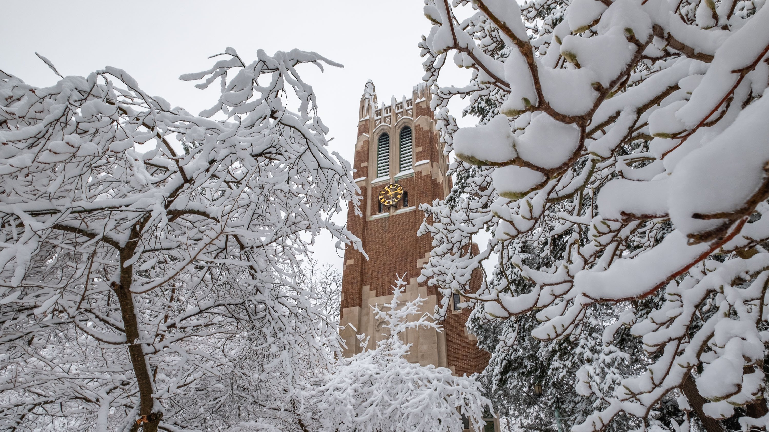 Beaumont Tower, obscured by snow covered branches in the winter