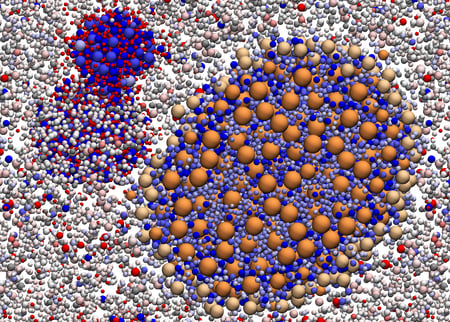 Molecule simulation