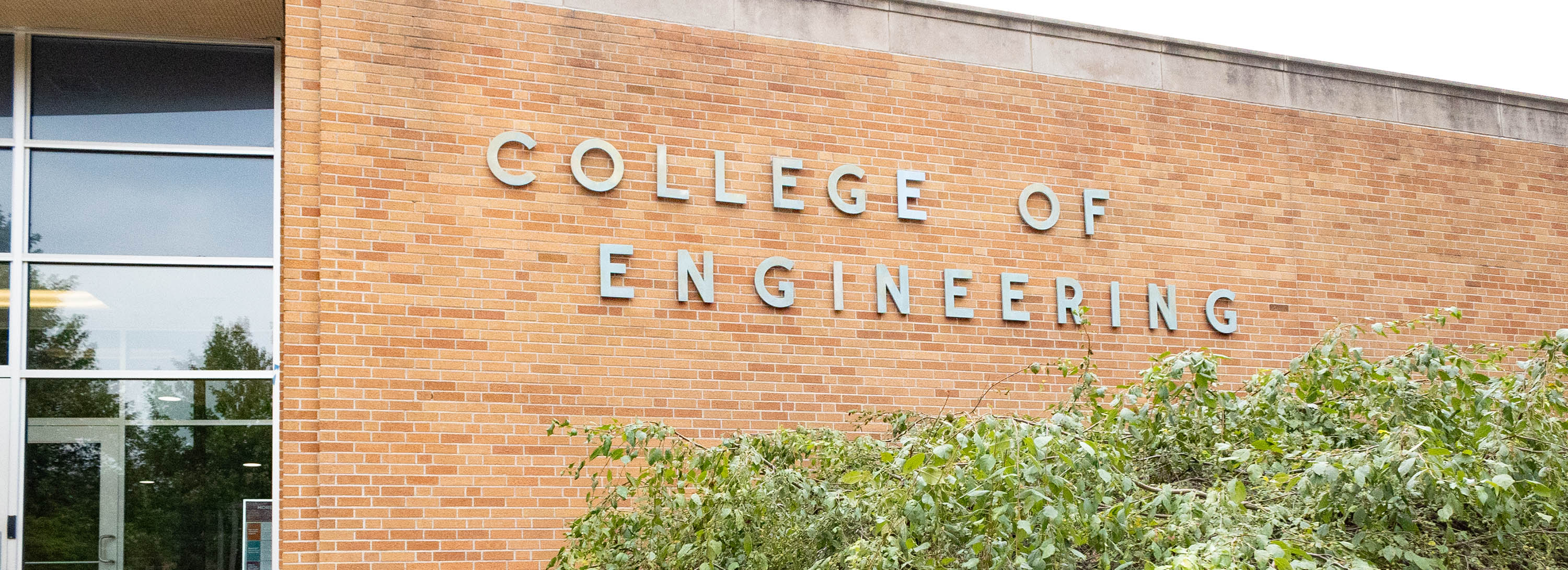 MSU Engineering professor elected TMECH editor-in-chief | MSUToday ...