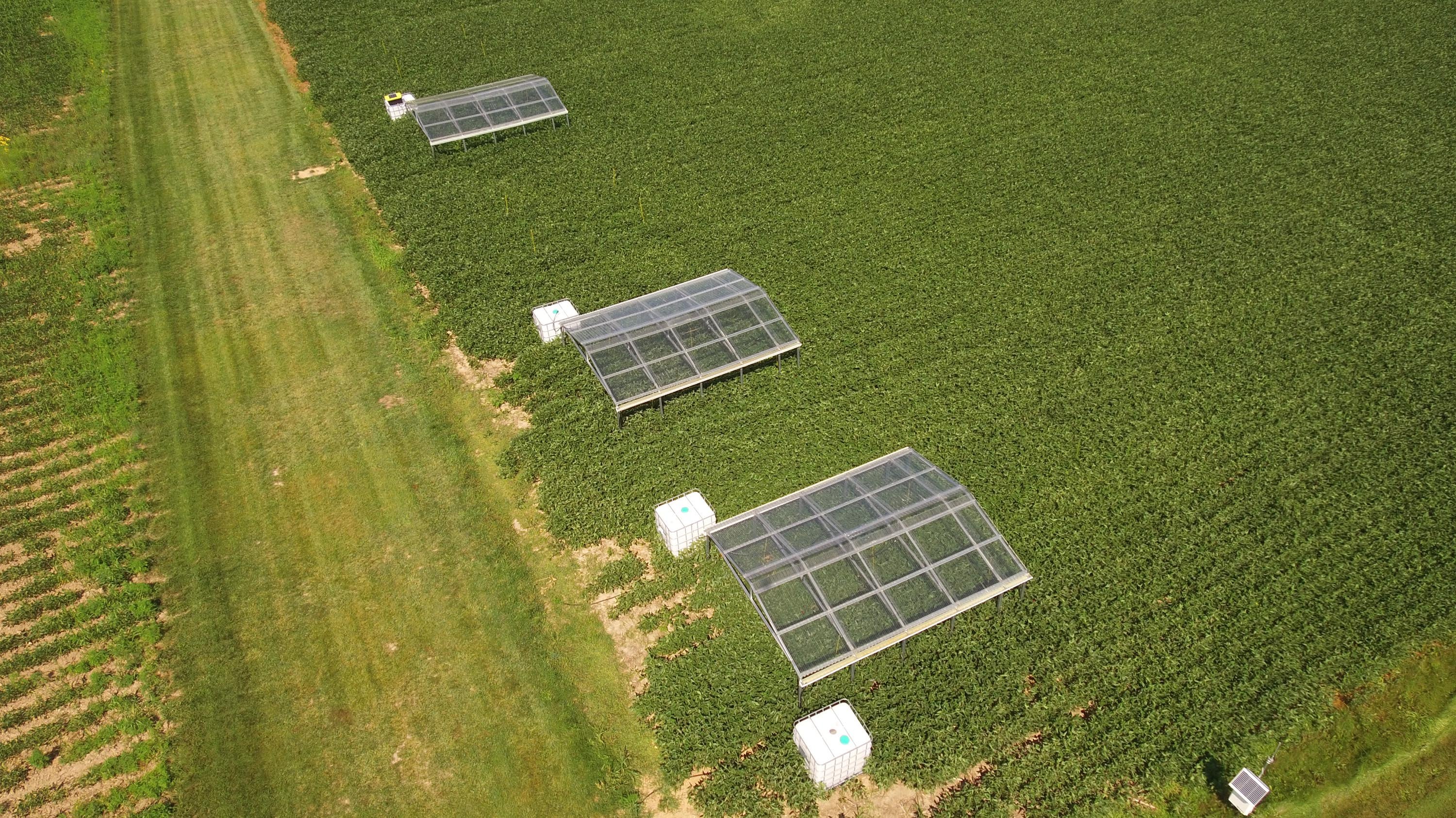 Aerial view of the completed rain-out shelters