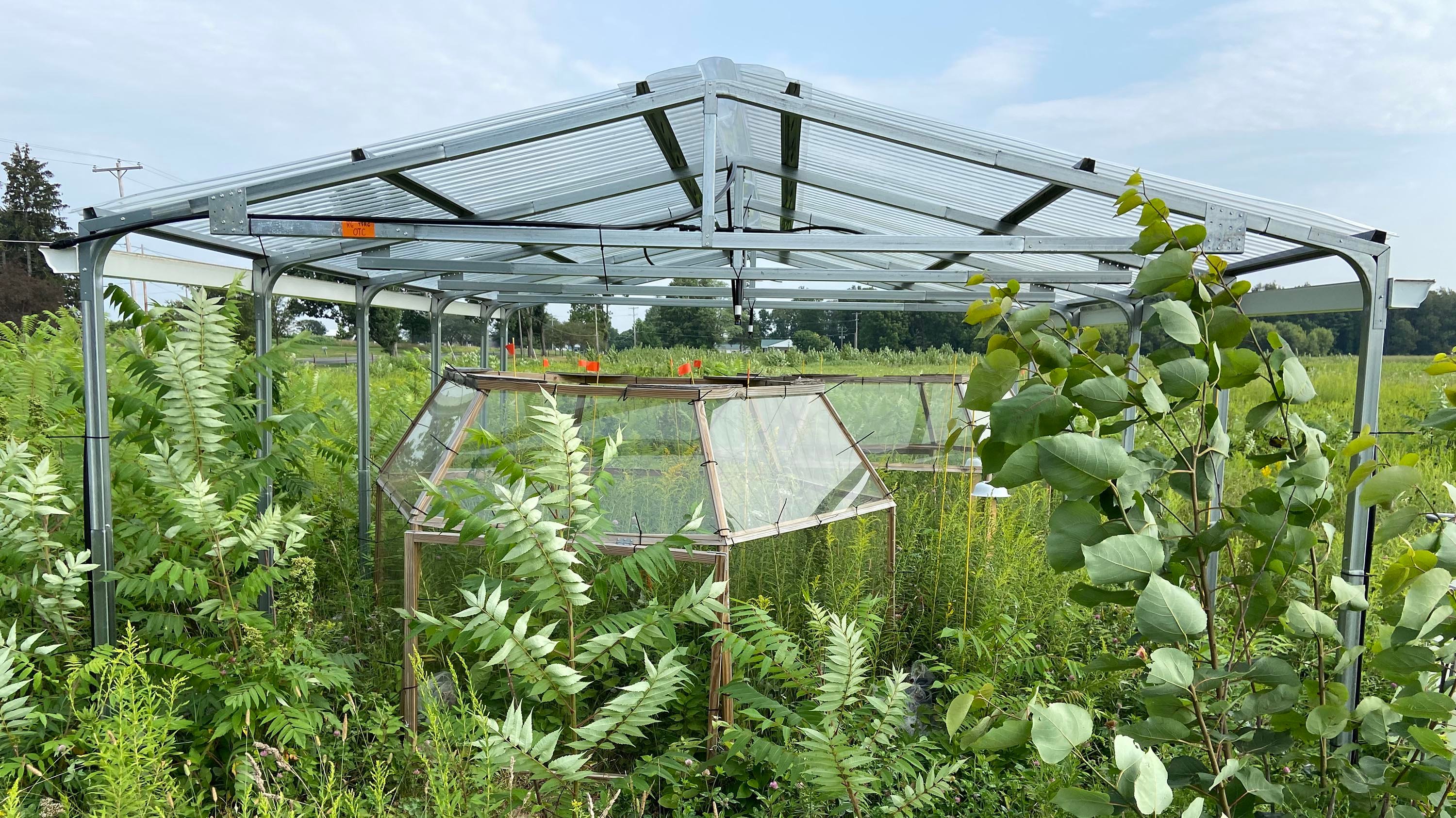 A completed rain out shelter