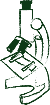 drawing of a microscope