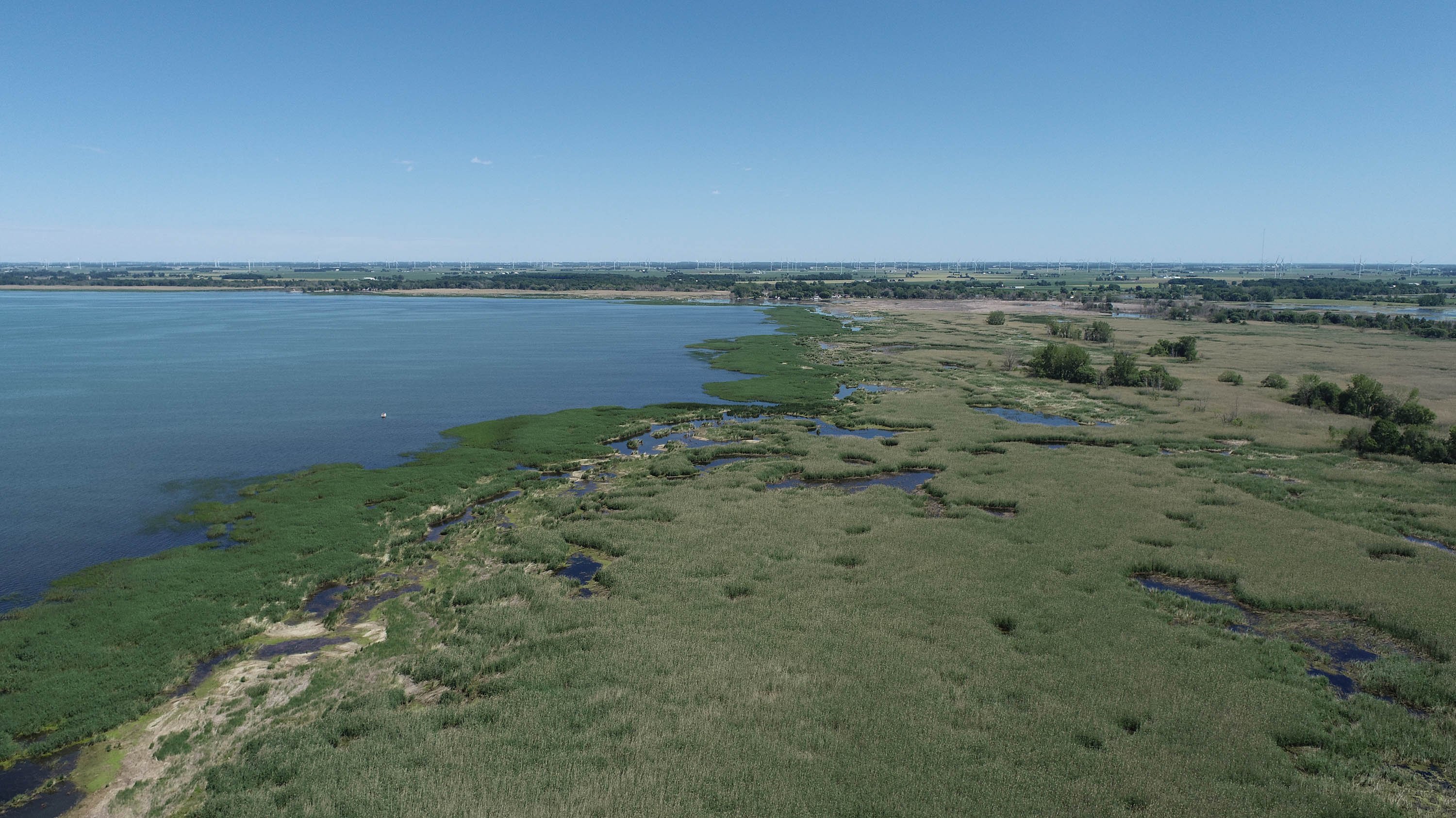 The wetland at Quanicassee