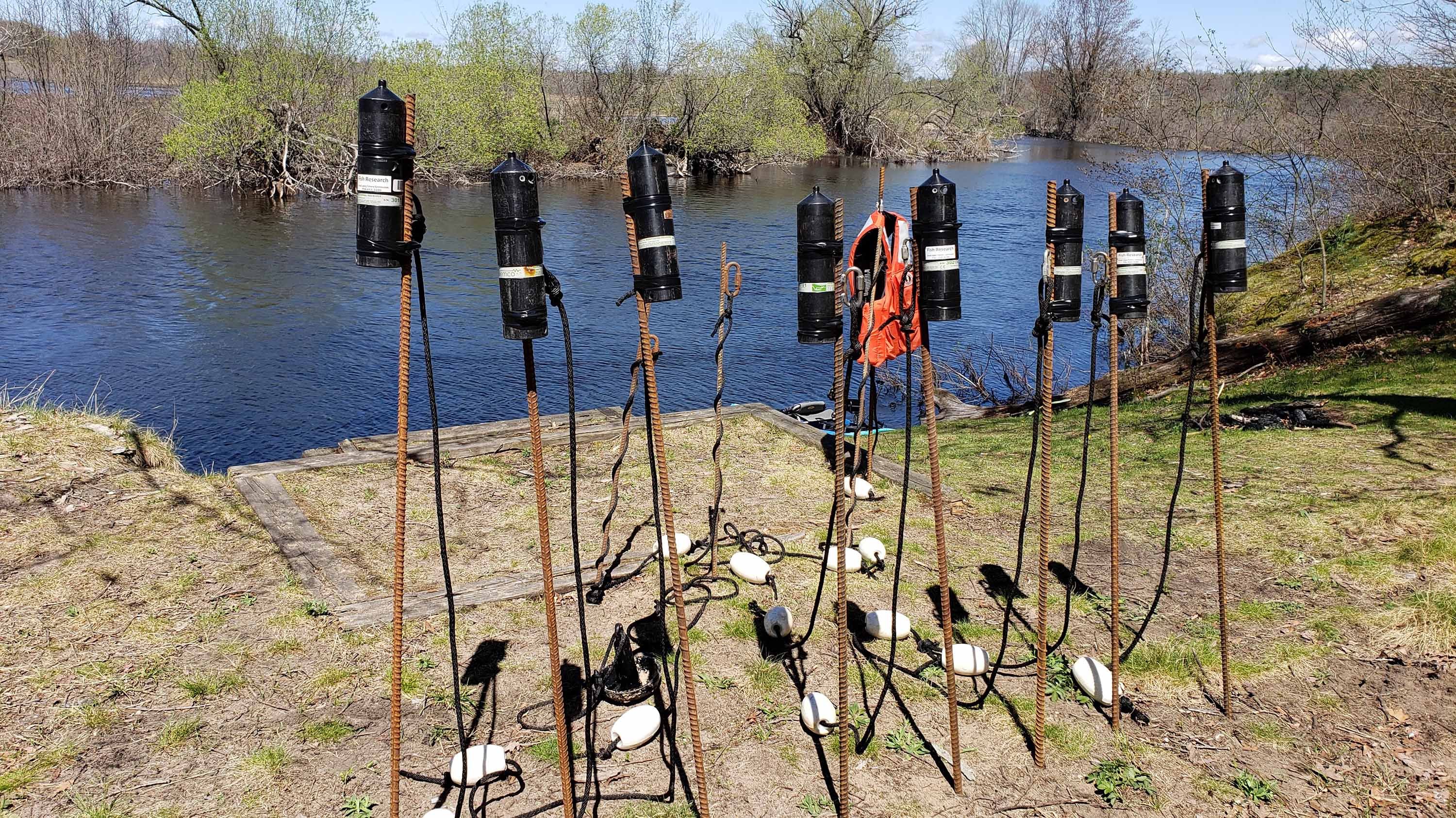 Receivers used as part of the lamprey research
