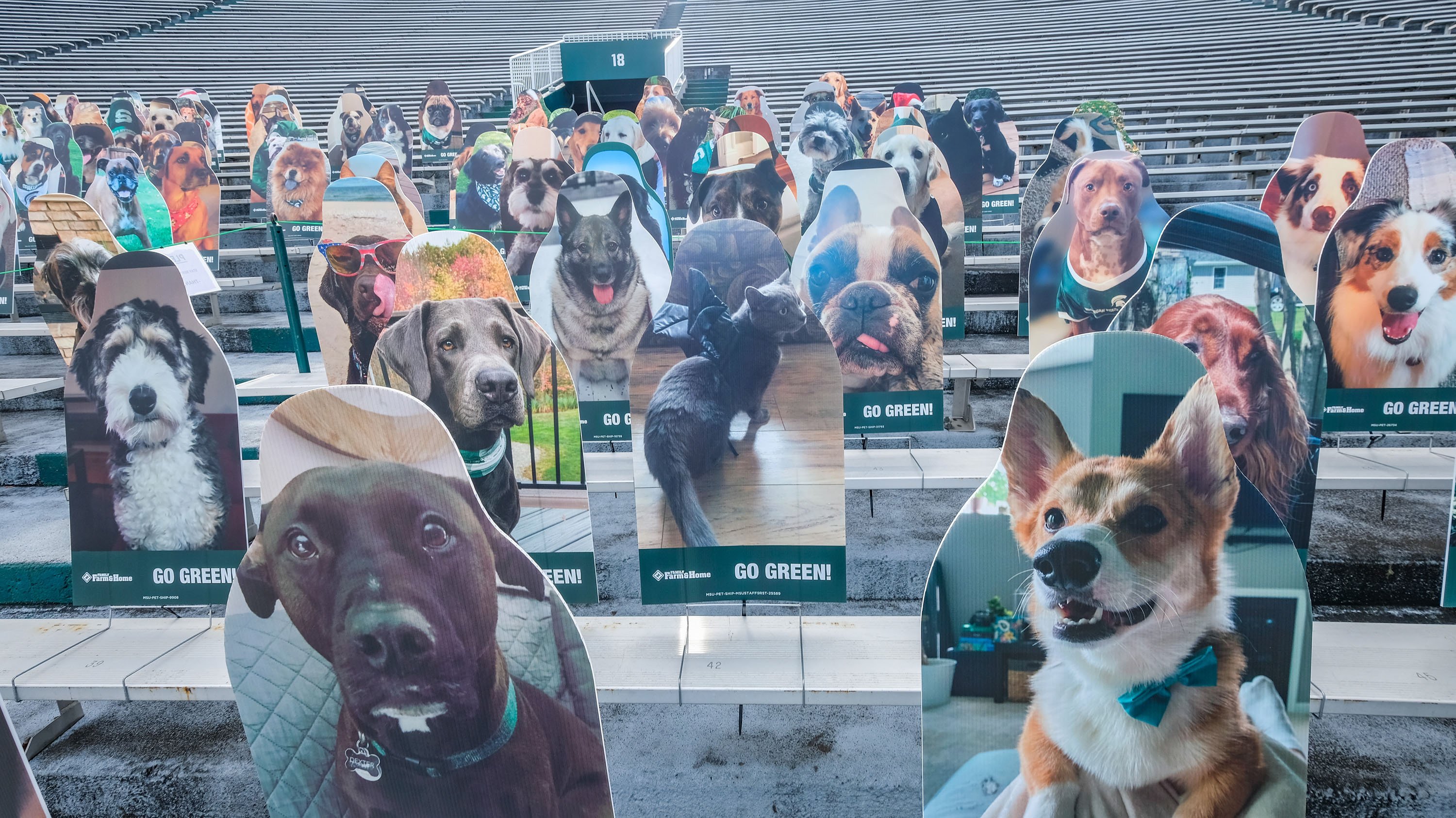 Cutouts of pets in the seating of Spatan Stadium