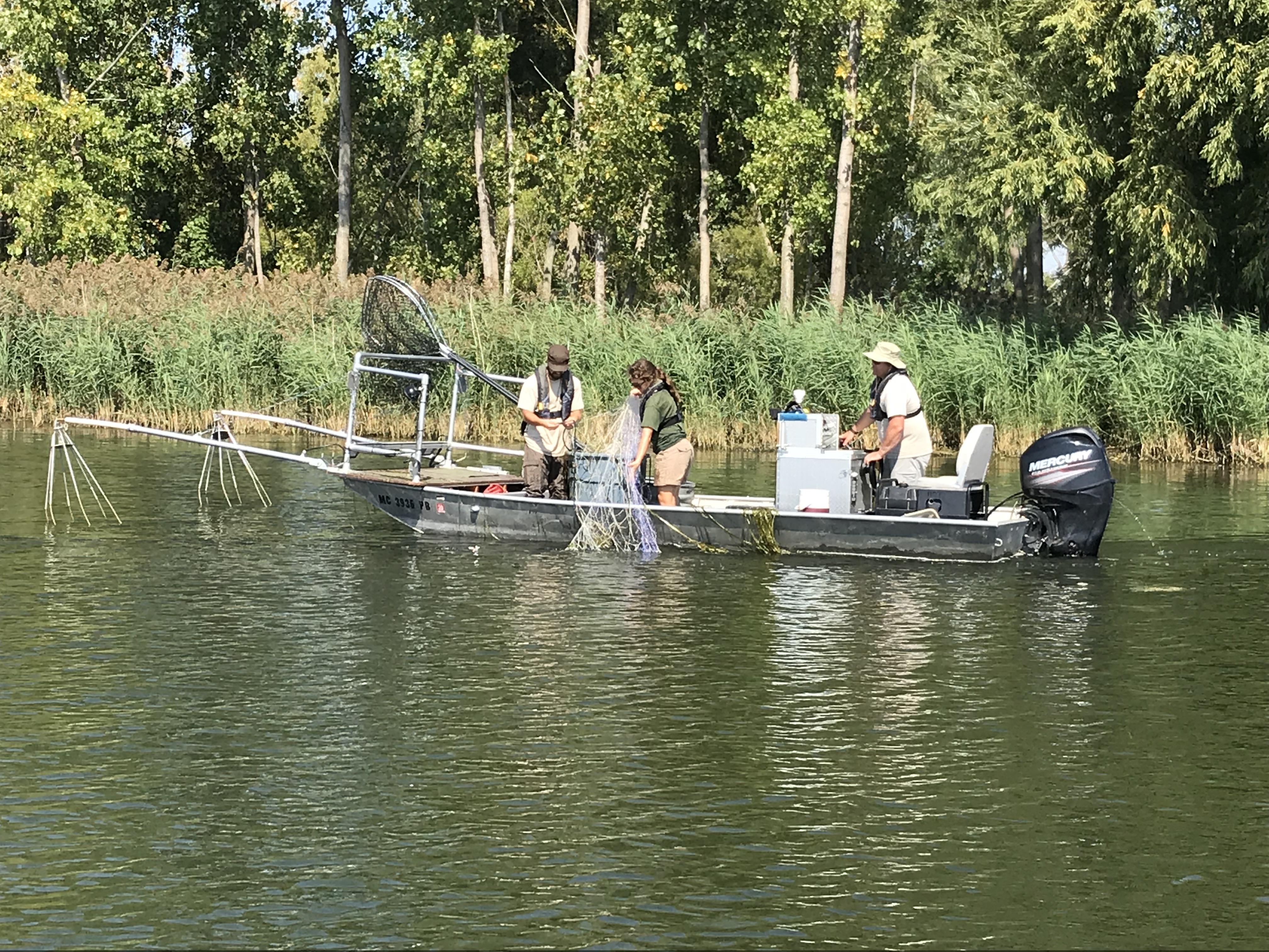 FWS strike team at work. Courtesy of Ryan Young FWS