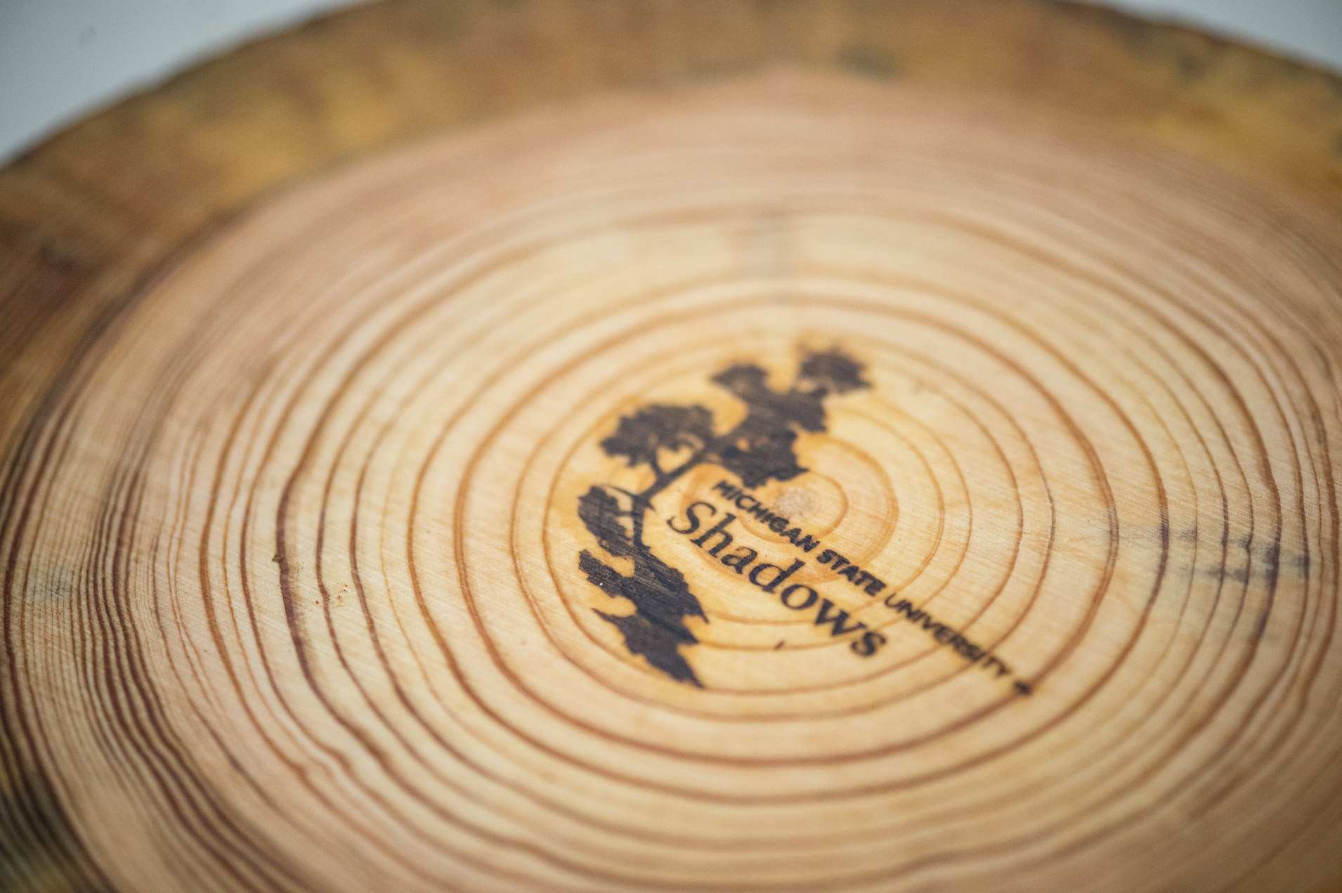 A cut tree trunk with the MSU Shadows logo burned into the wood