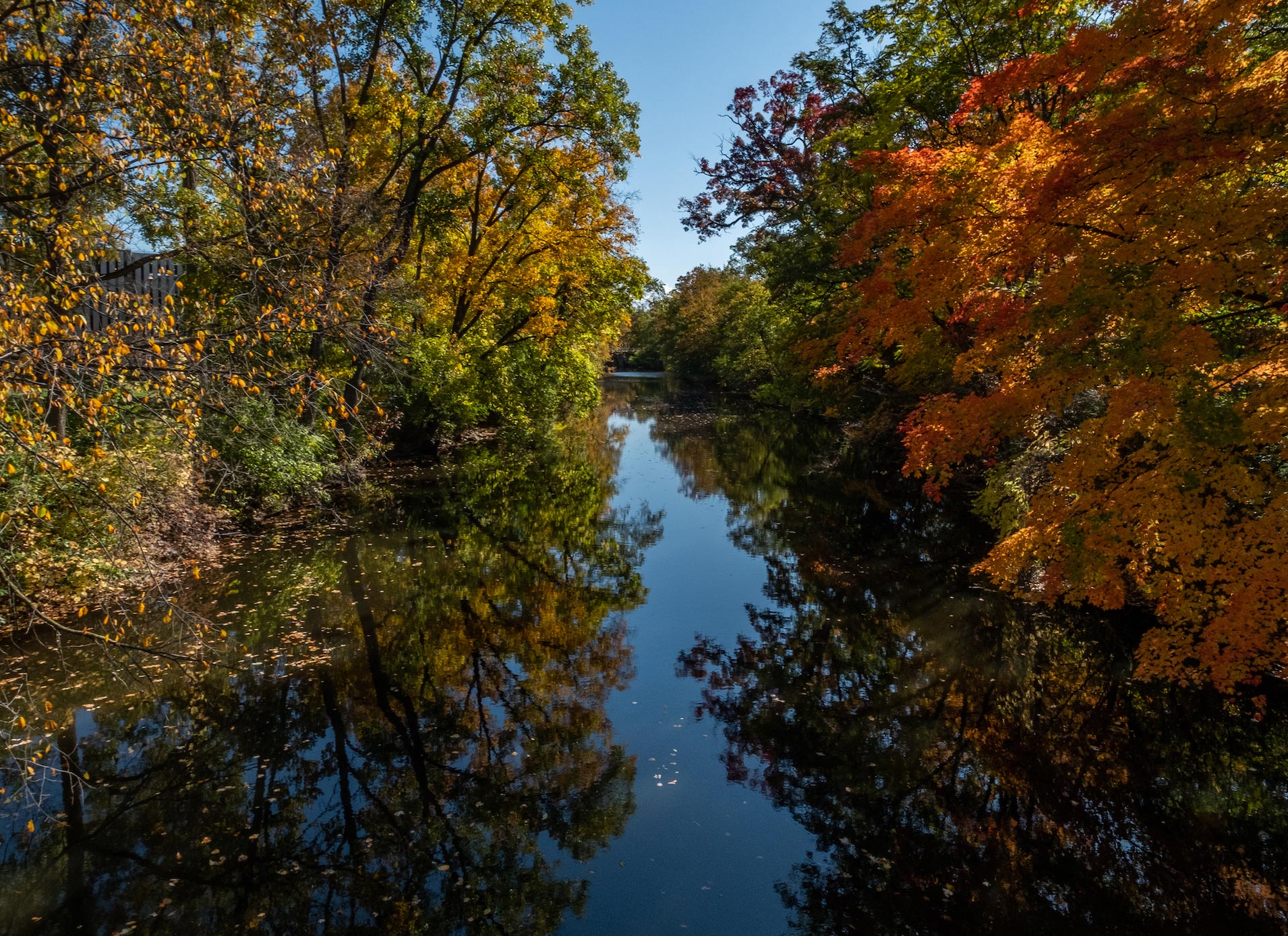 The Red Cedar River in autumn