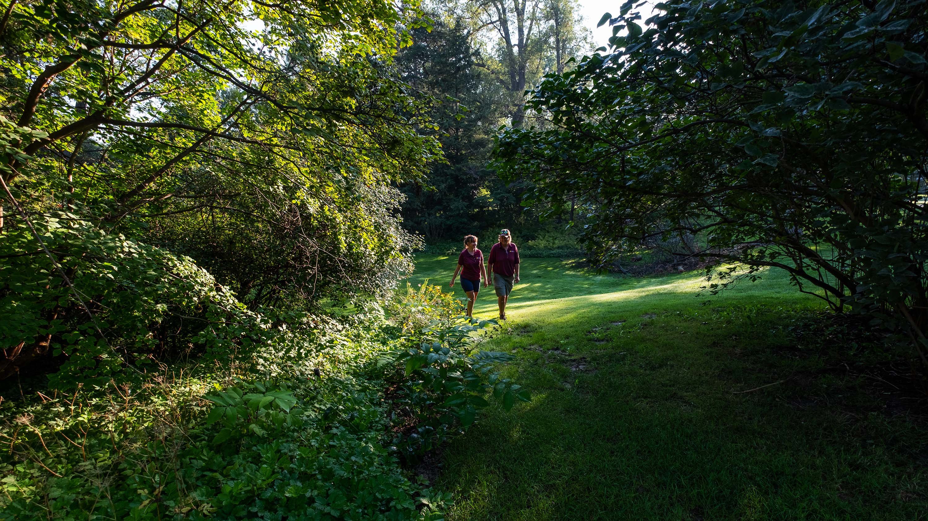 Two members of the W. J. Beal Botanical Garden in the enchanted Sleepy Hollow on a summer morning.