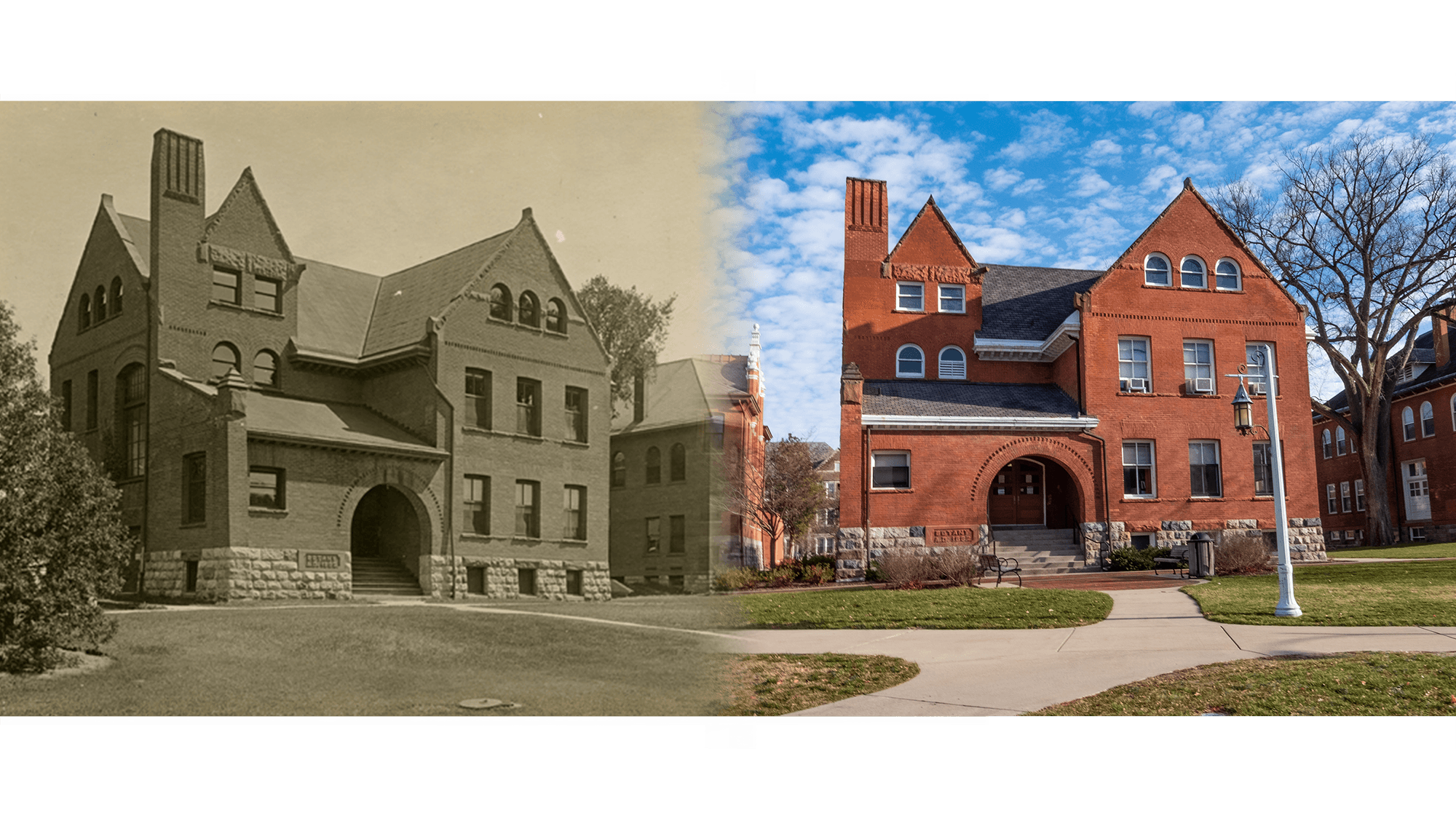 Historical and modern photographs of Old Botany