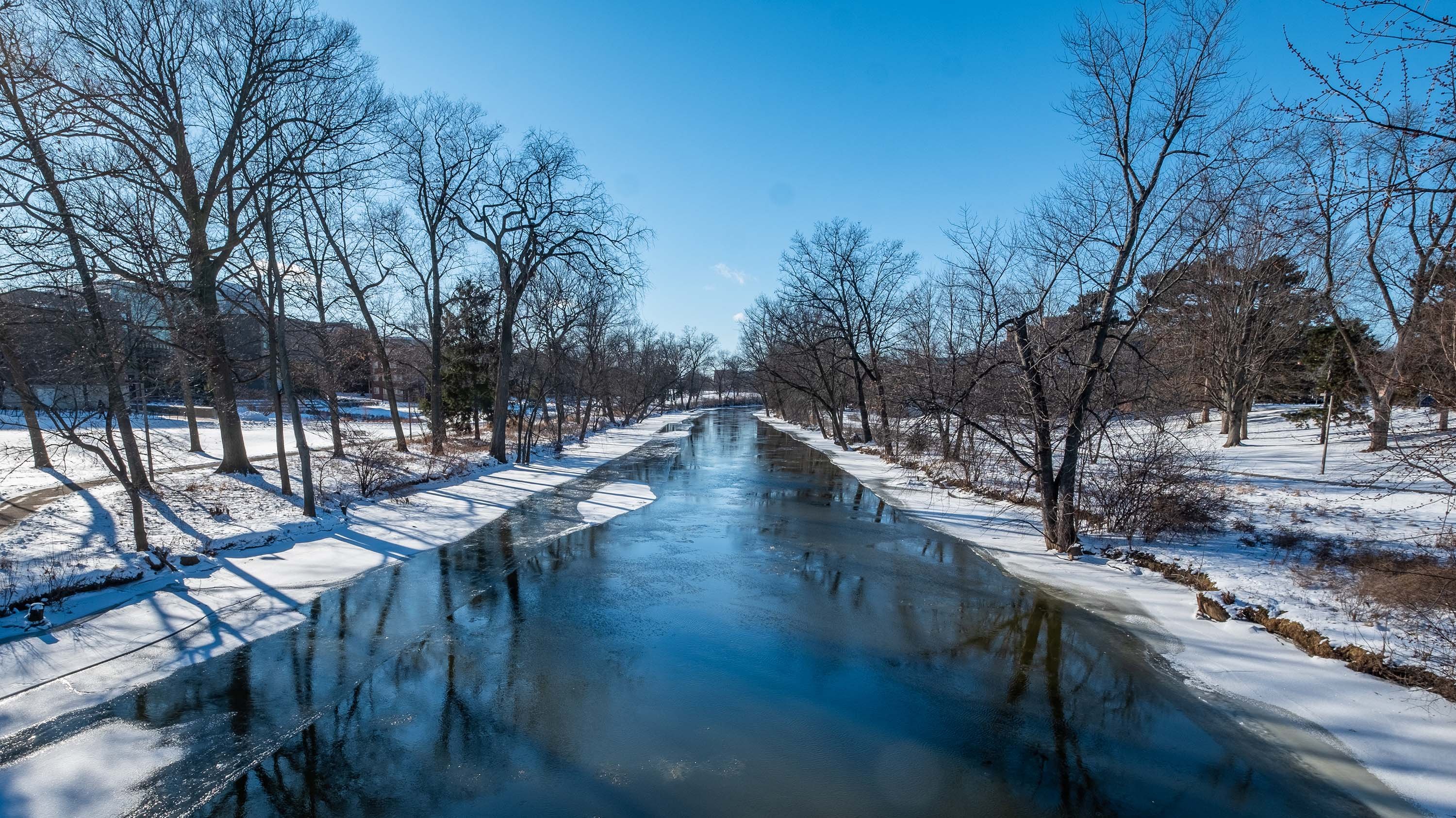 Red Cedar river in winter