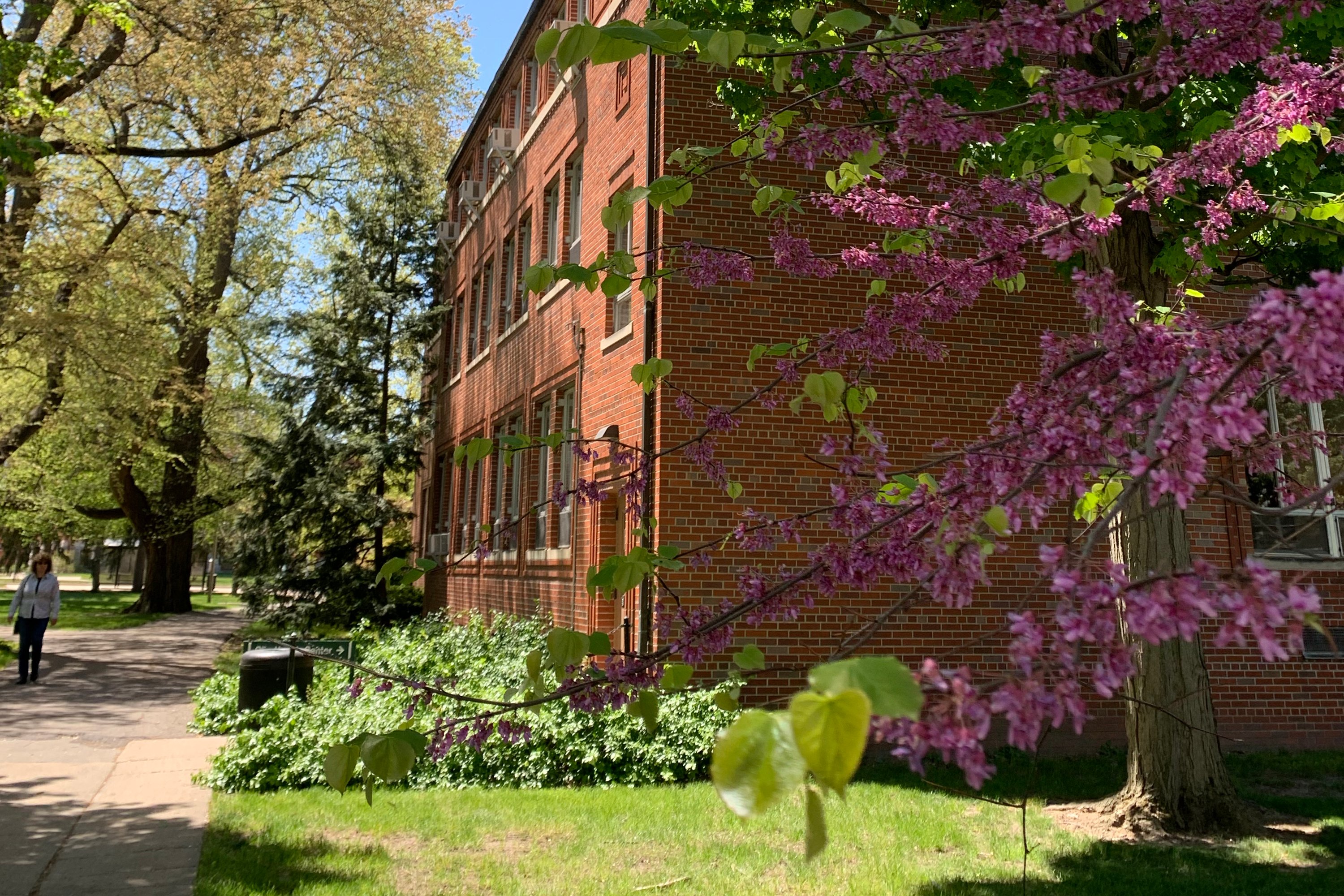 outside Olin Health Center along pathway