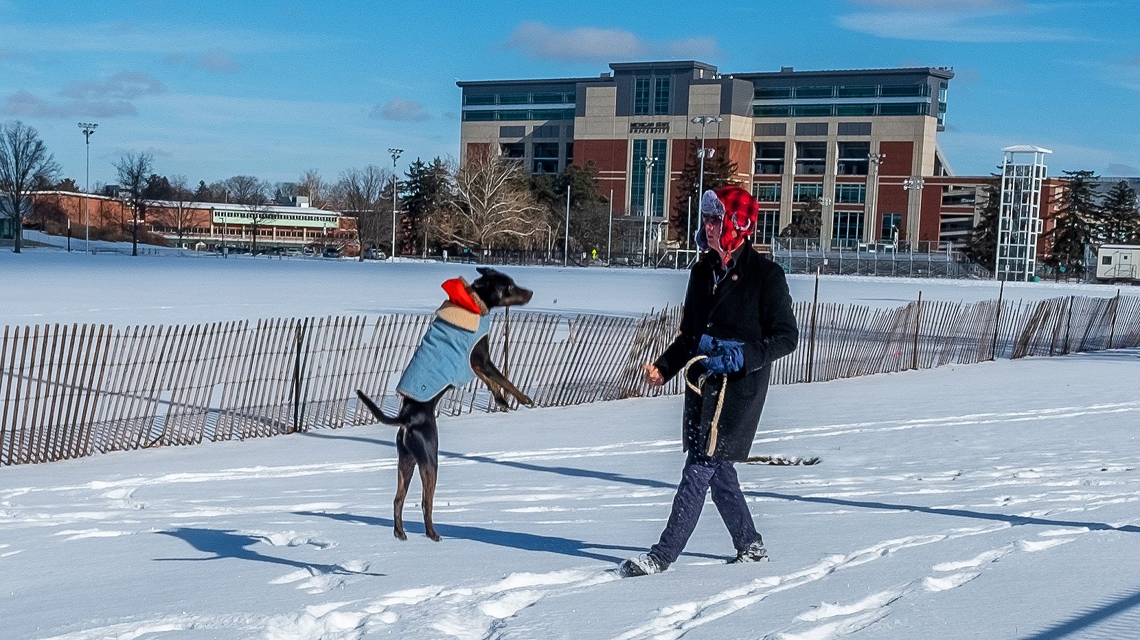 MSU Doctoral student Kyle L. Chong and his dog Archer playing in the snow
