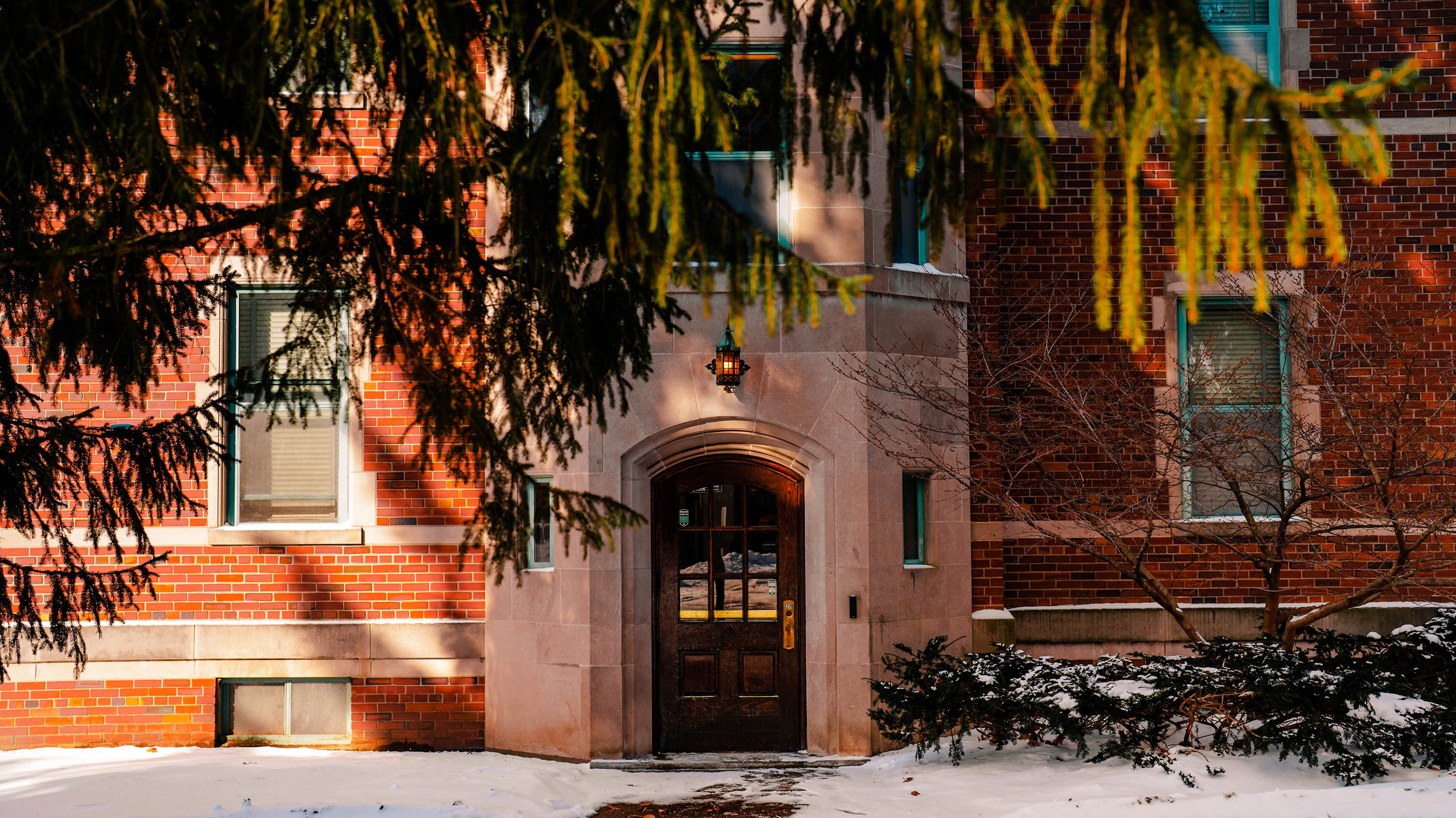 Pine branches in front of Mason-Abbot hall