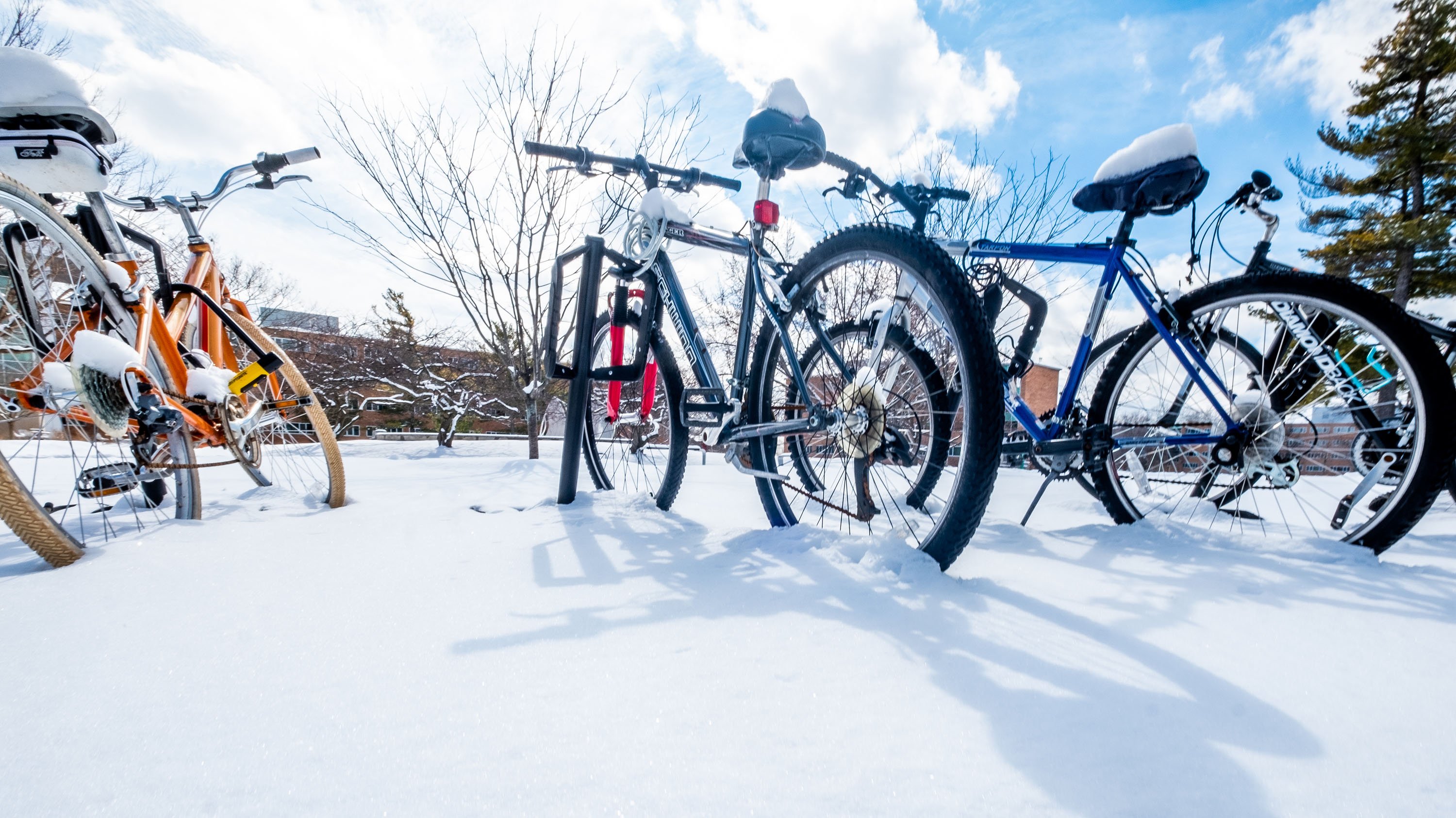 Bicycles in snow