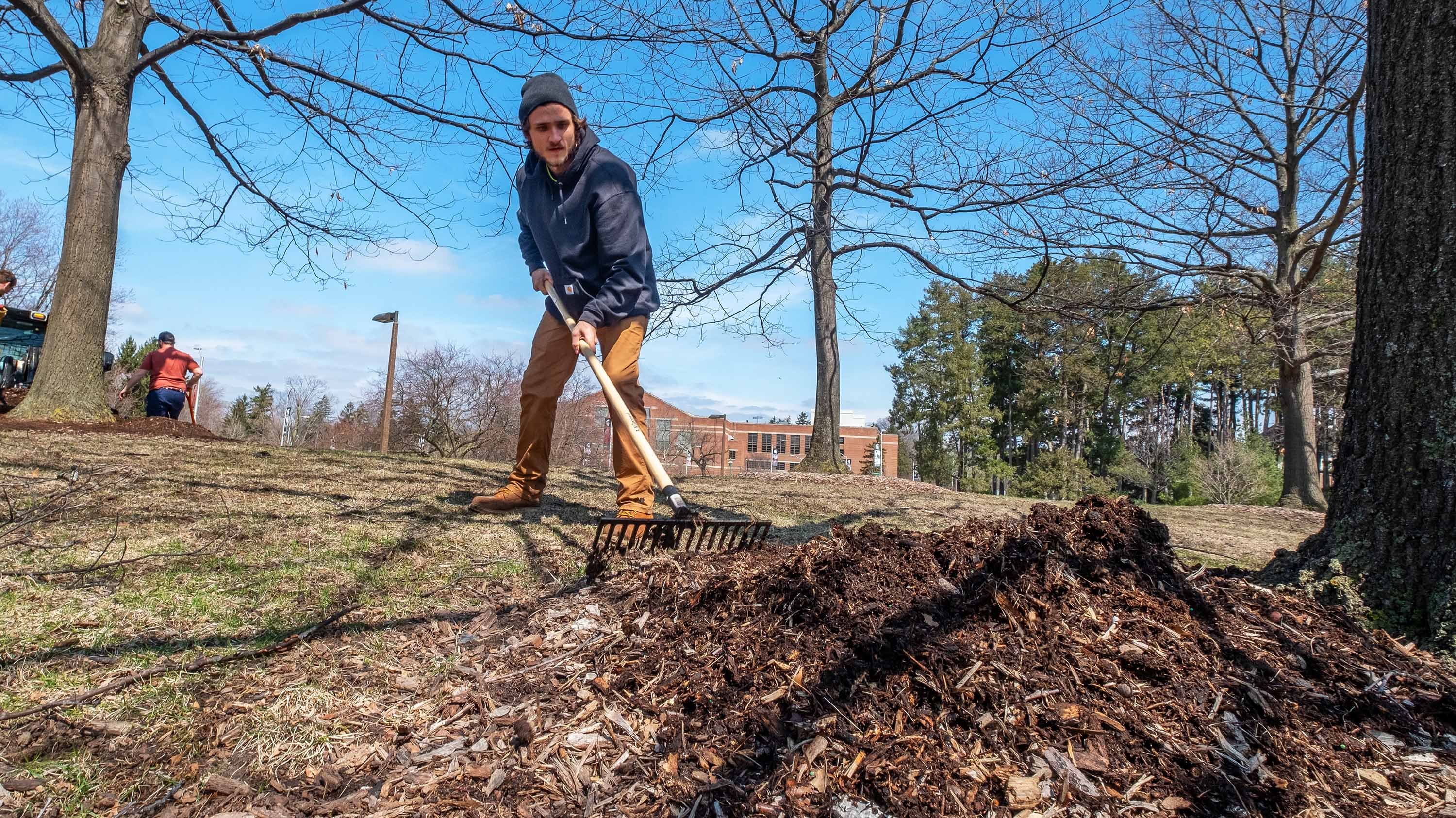 IPF crew member adding mulch to base of campus tree