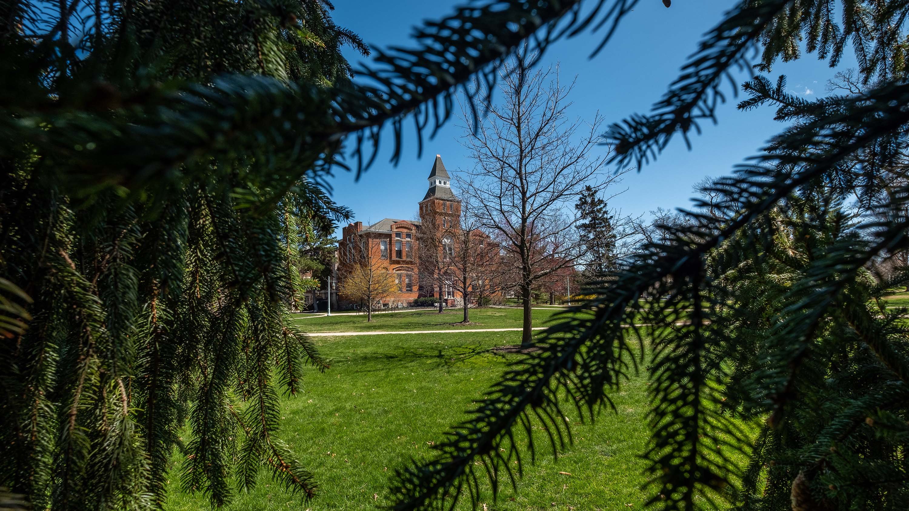 Linton Hall viewed through pine needles
