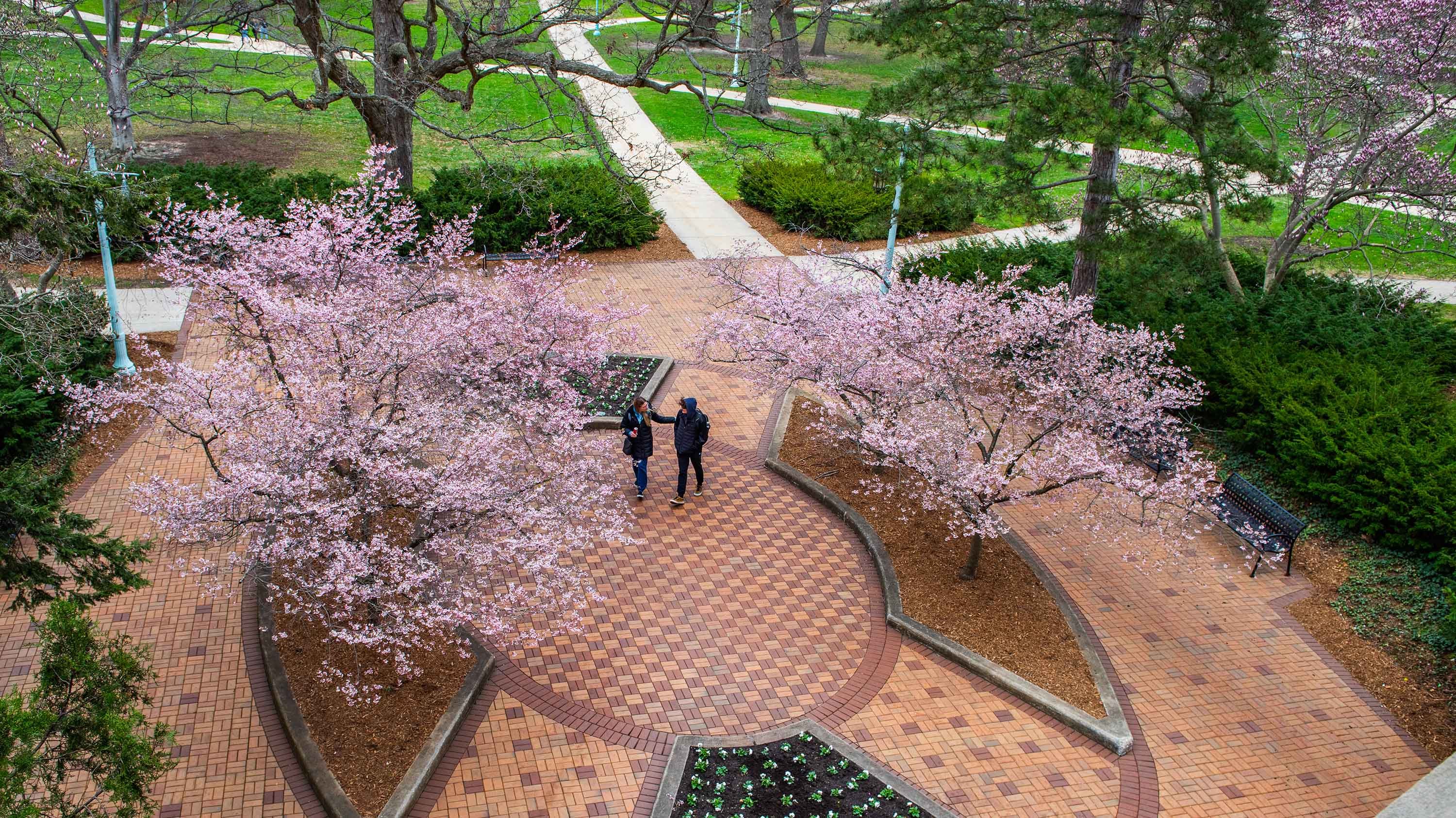 Beaumont Tower plaza seen from atop Beaumont Tower, with flowering trees and two people walking