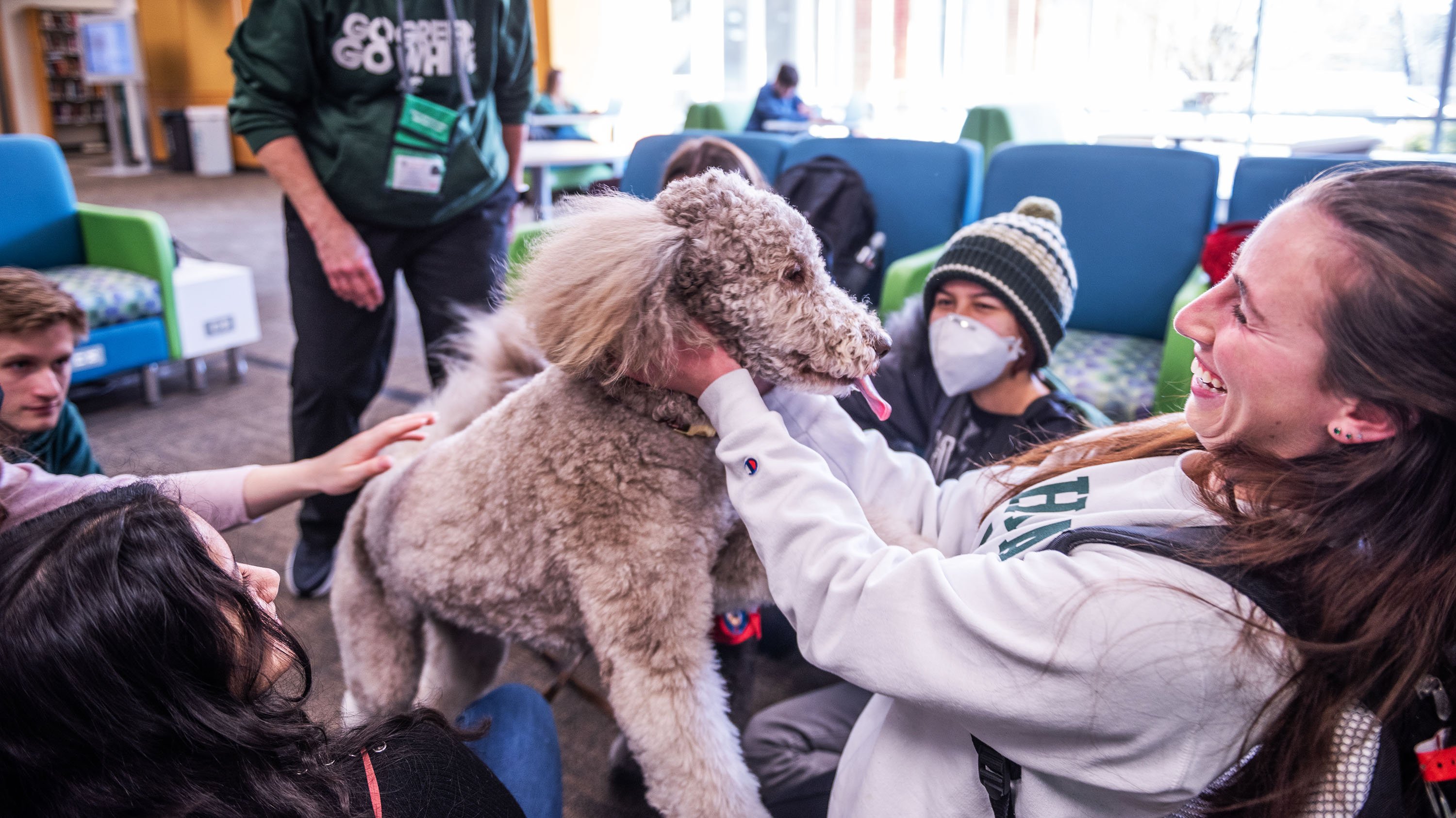 Students petting therapy dog in the MSU Library