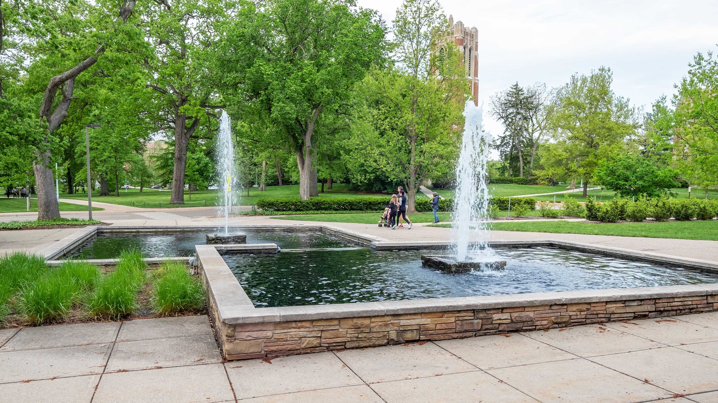 MSU Library fountain