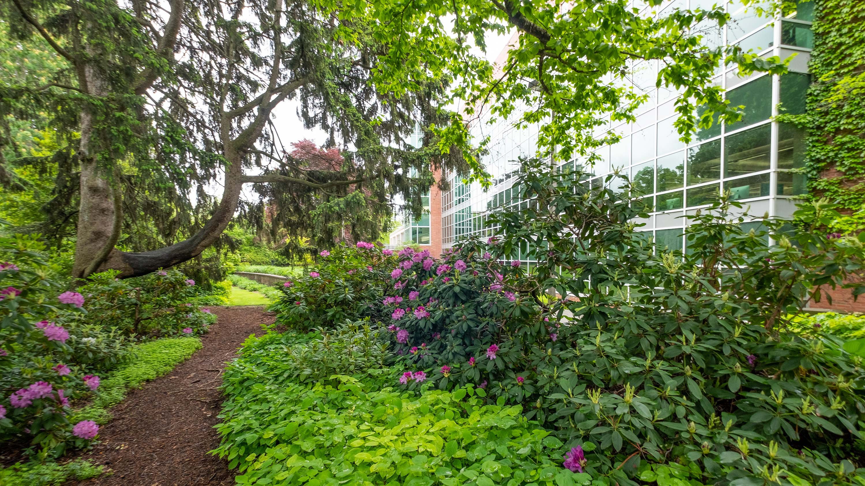 Entrance to Beal garden behind MSU library