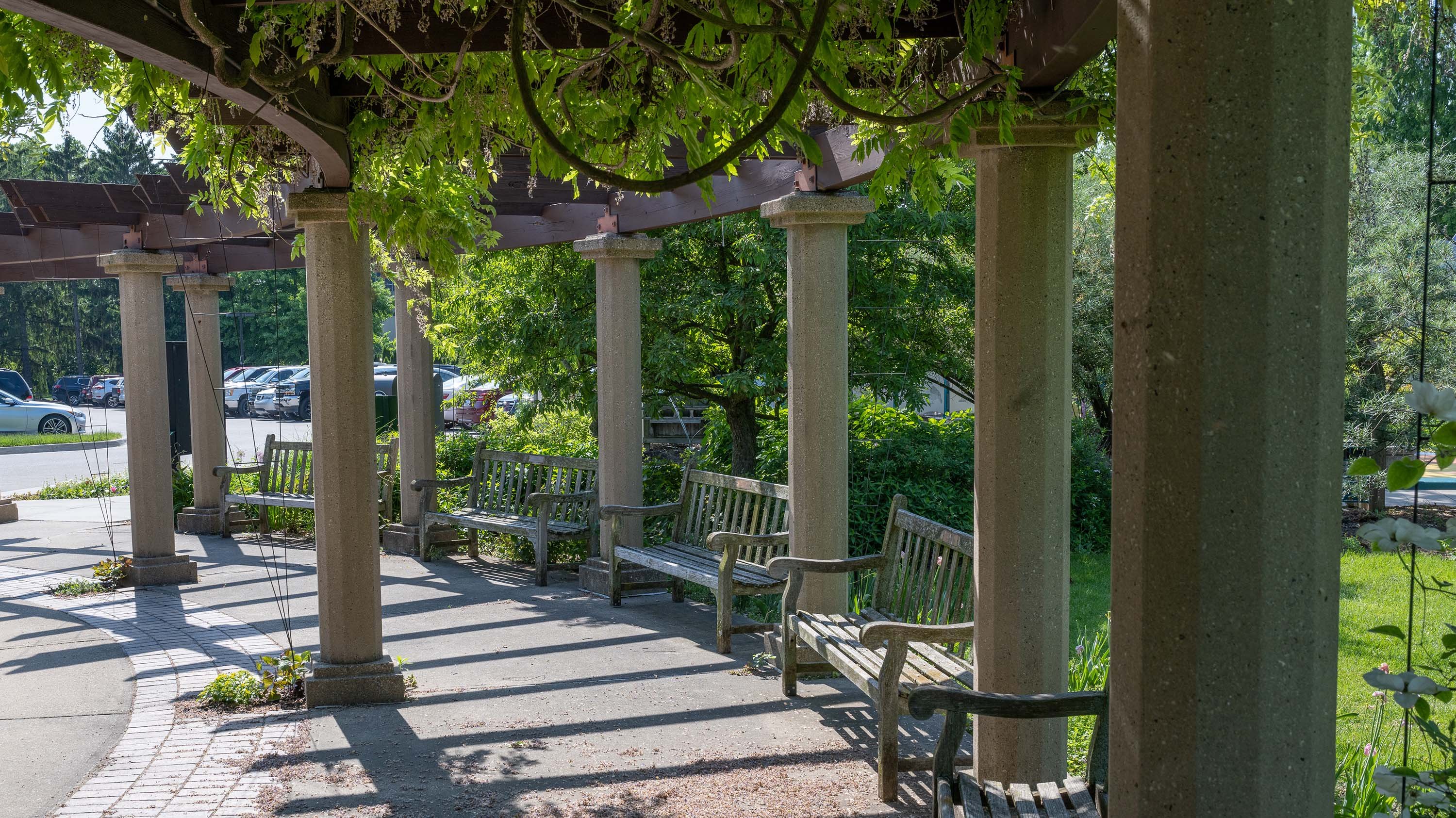 Pergola in the Perennial Garden, covered in leaves