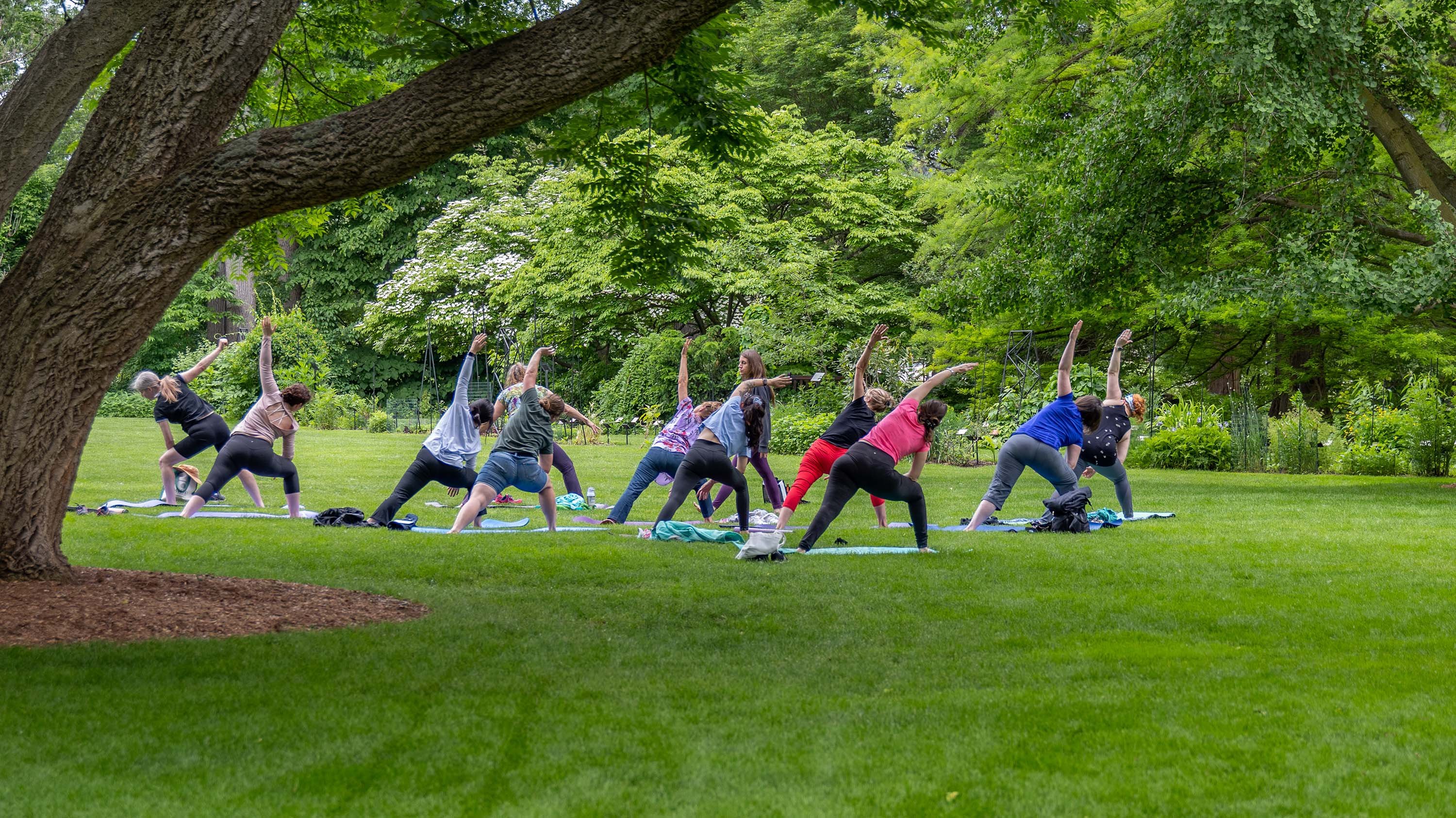 People doing pilates in Beal Botanical Garden