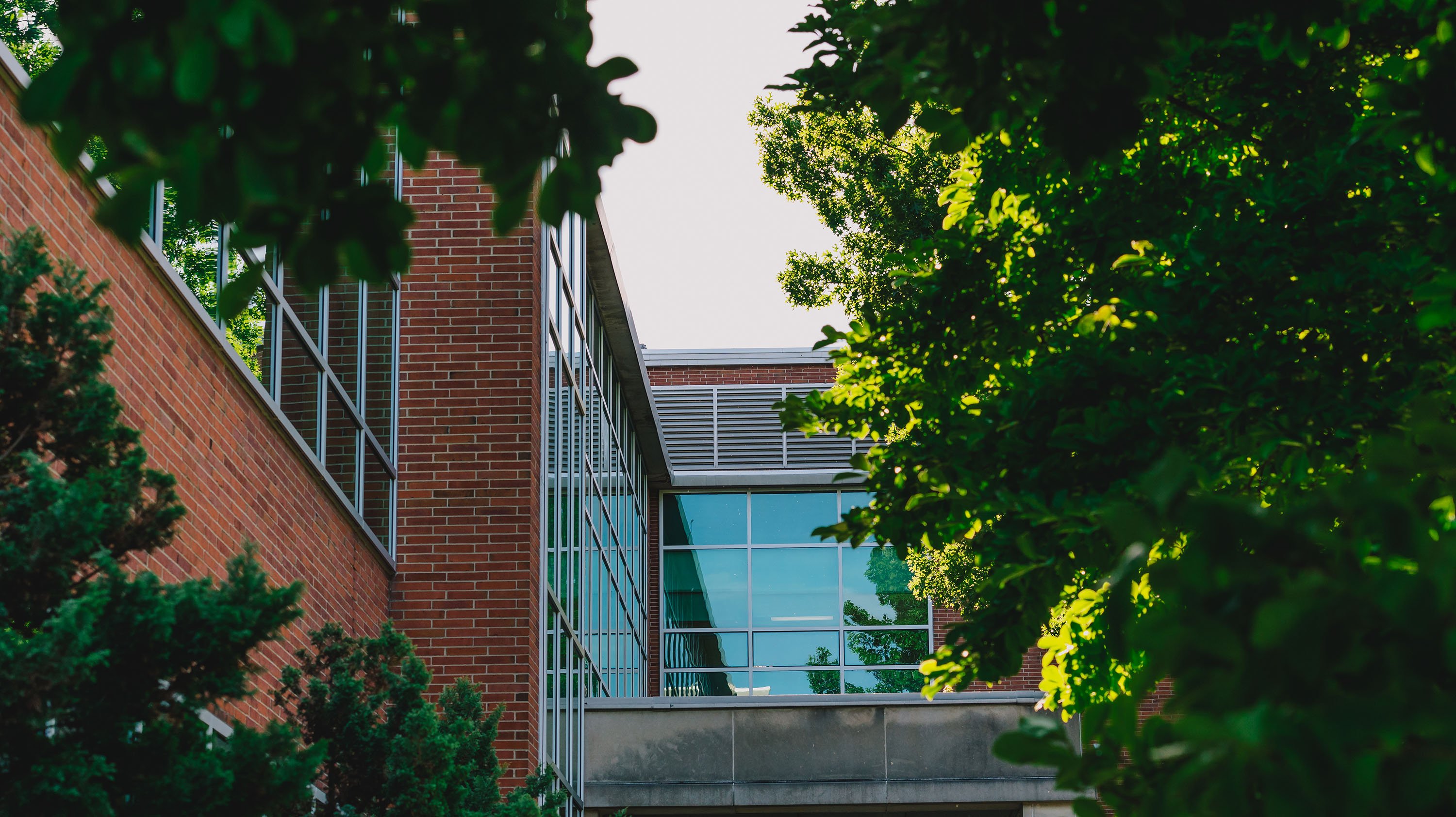 Student Services building, partially obscured by trees