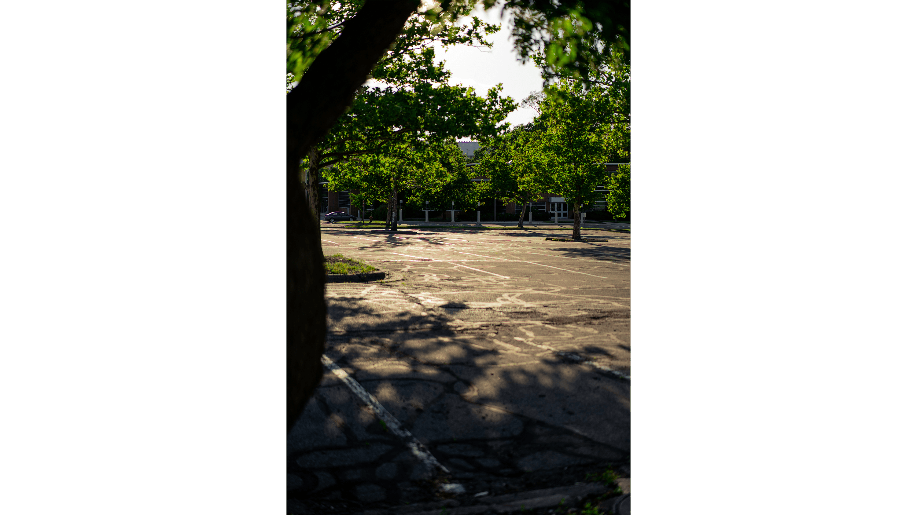 Golden light reflecting off of pavement in parking lot