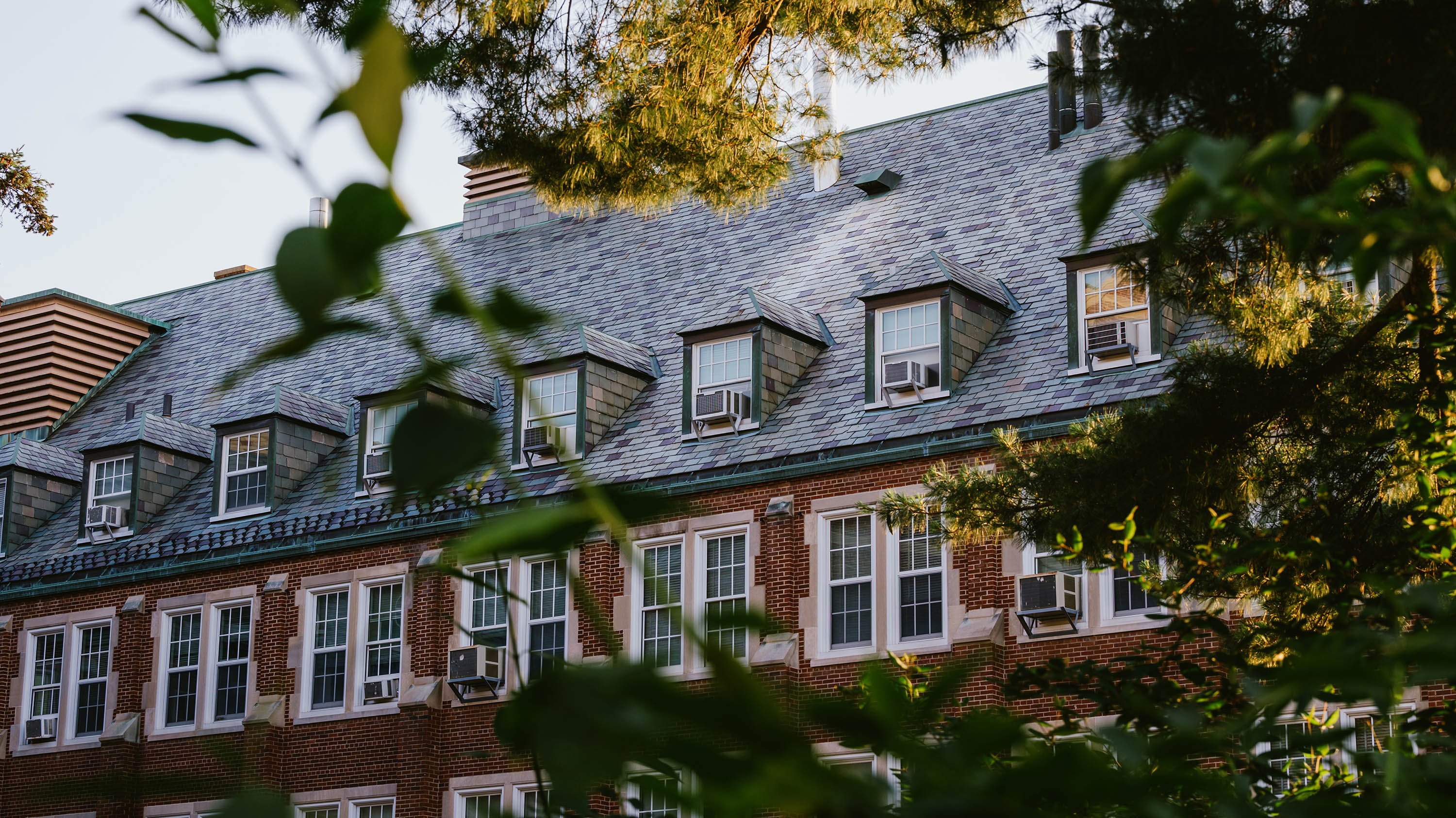 Leaves in front of Natural Science building windows